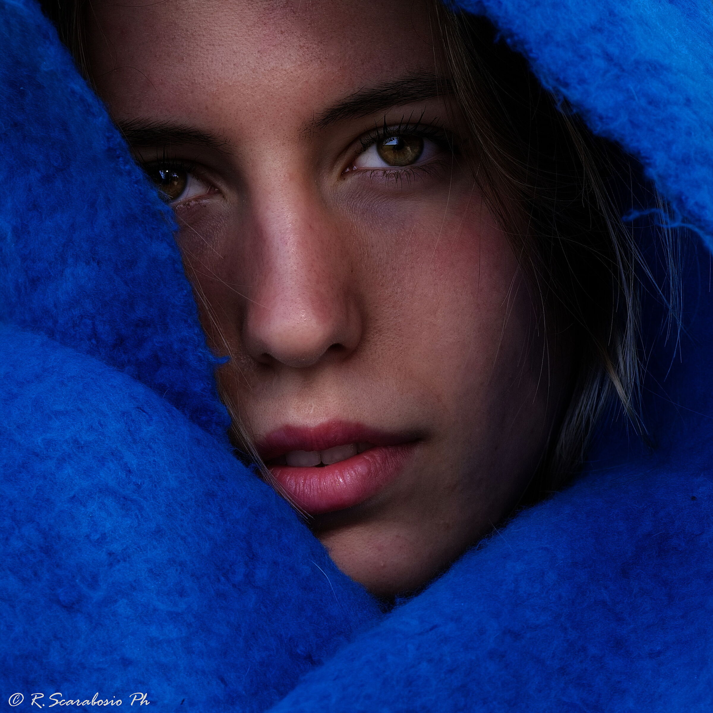 Portrait in blue
