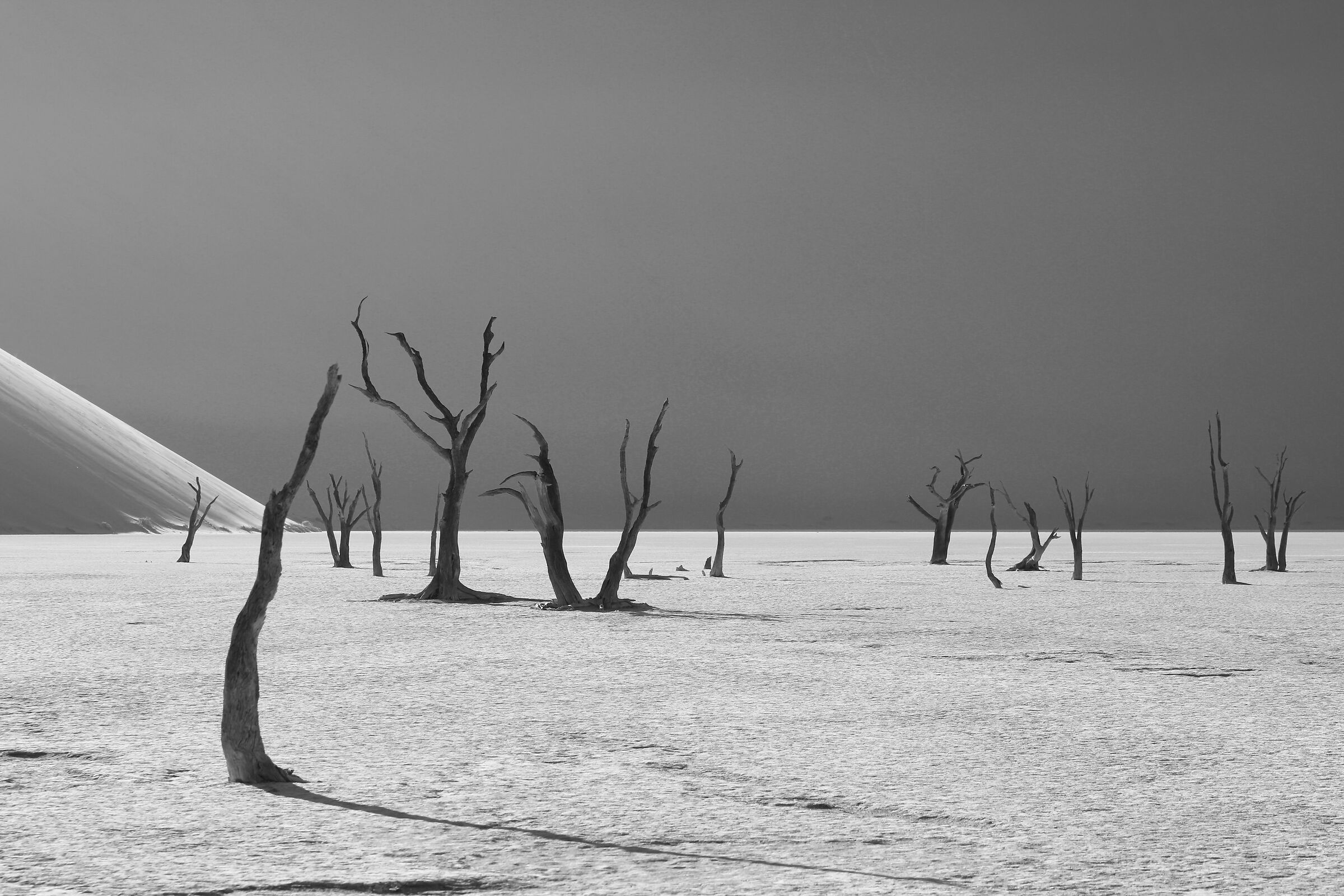 Deadvlei BN