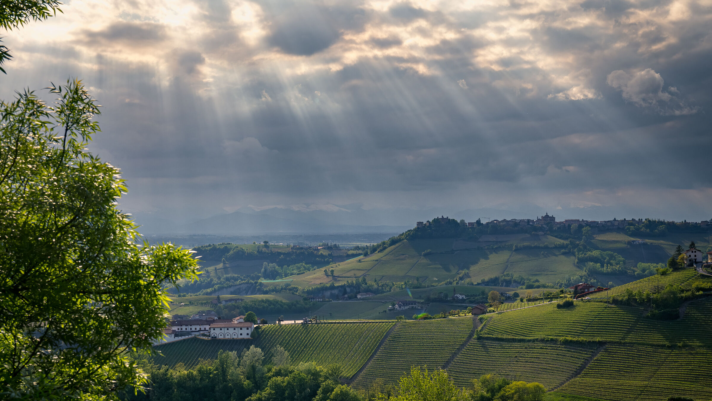 Langhe 01