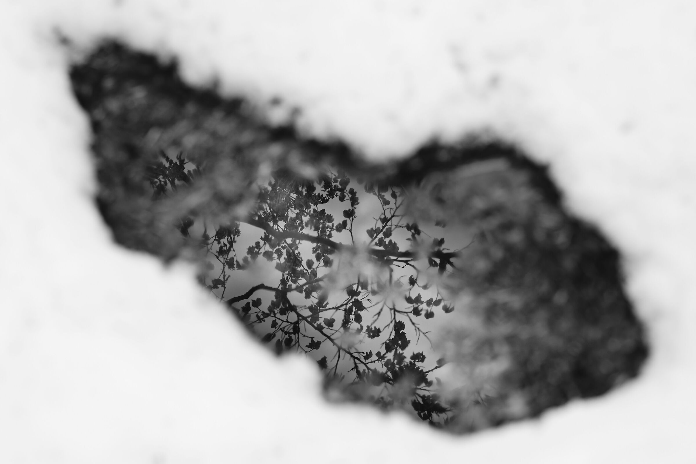 Alta Garfagnana, elements of nature