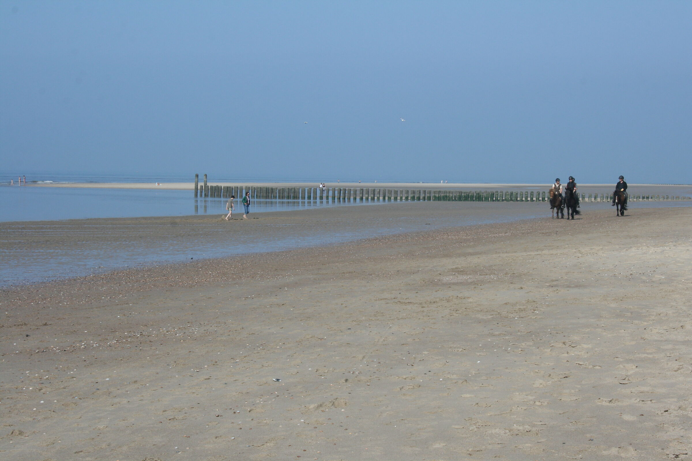 Low tide in Oostkapelle NL