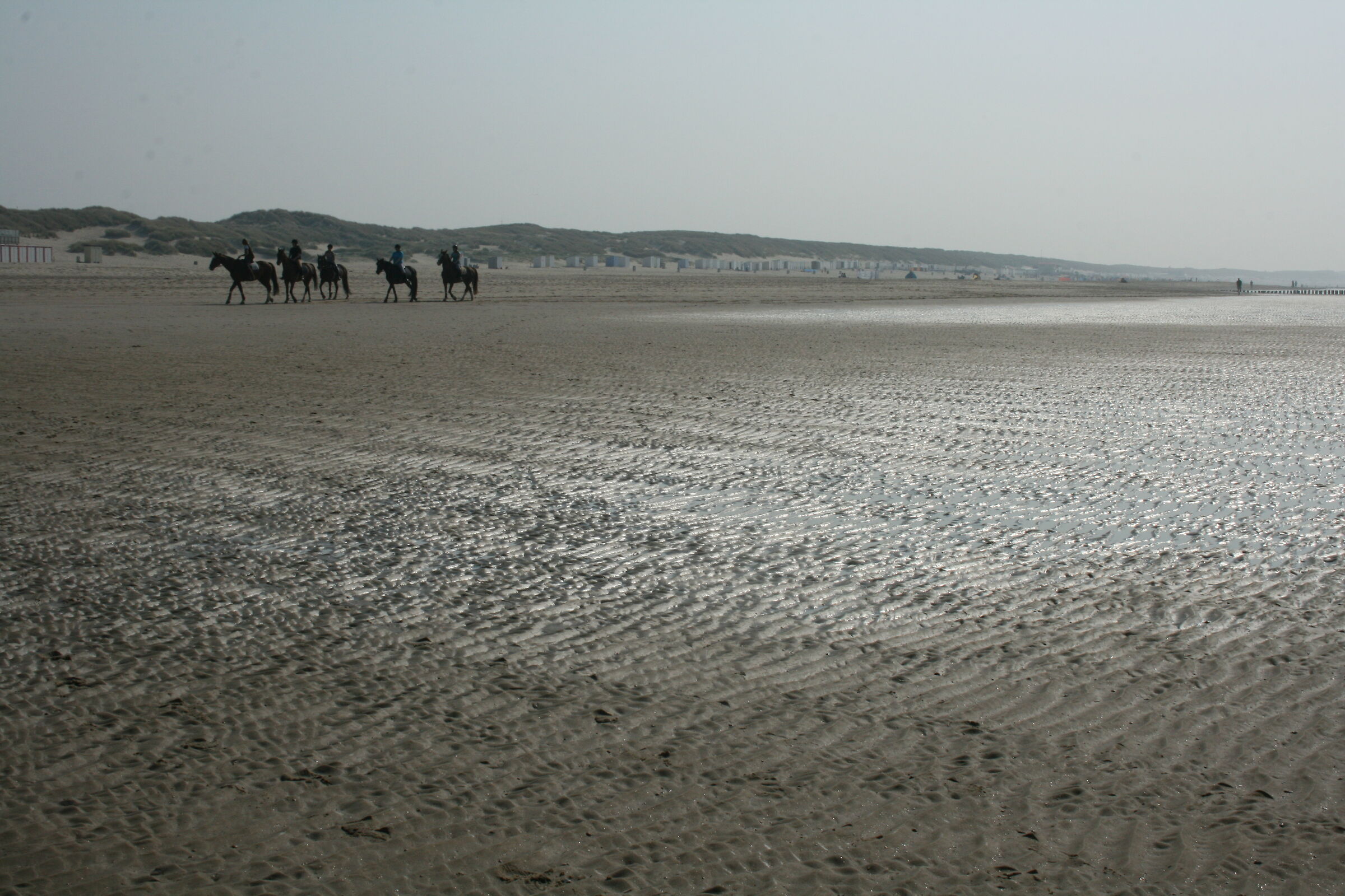 Bassa marea a Oostkapelle NL