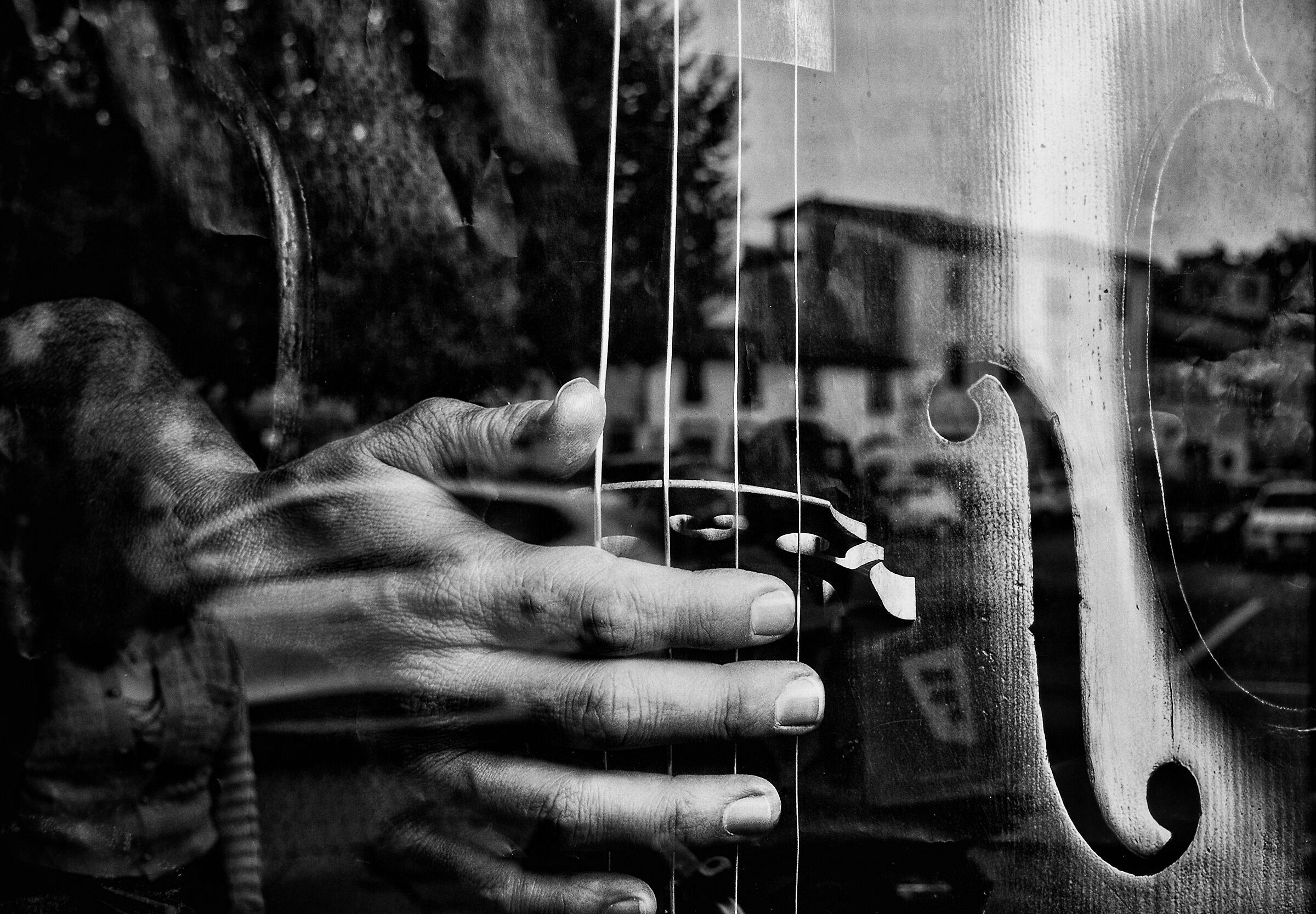 Reflection