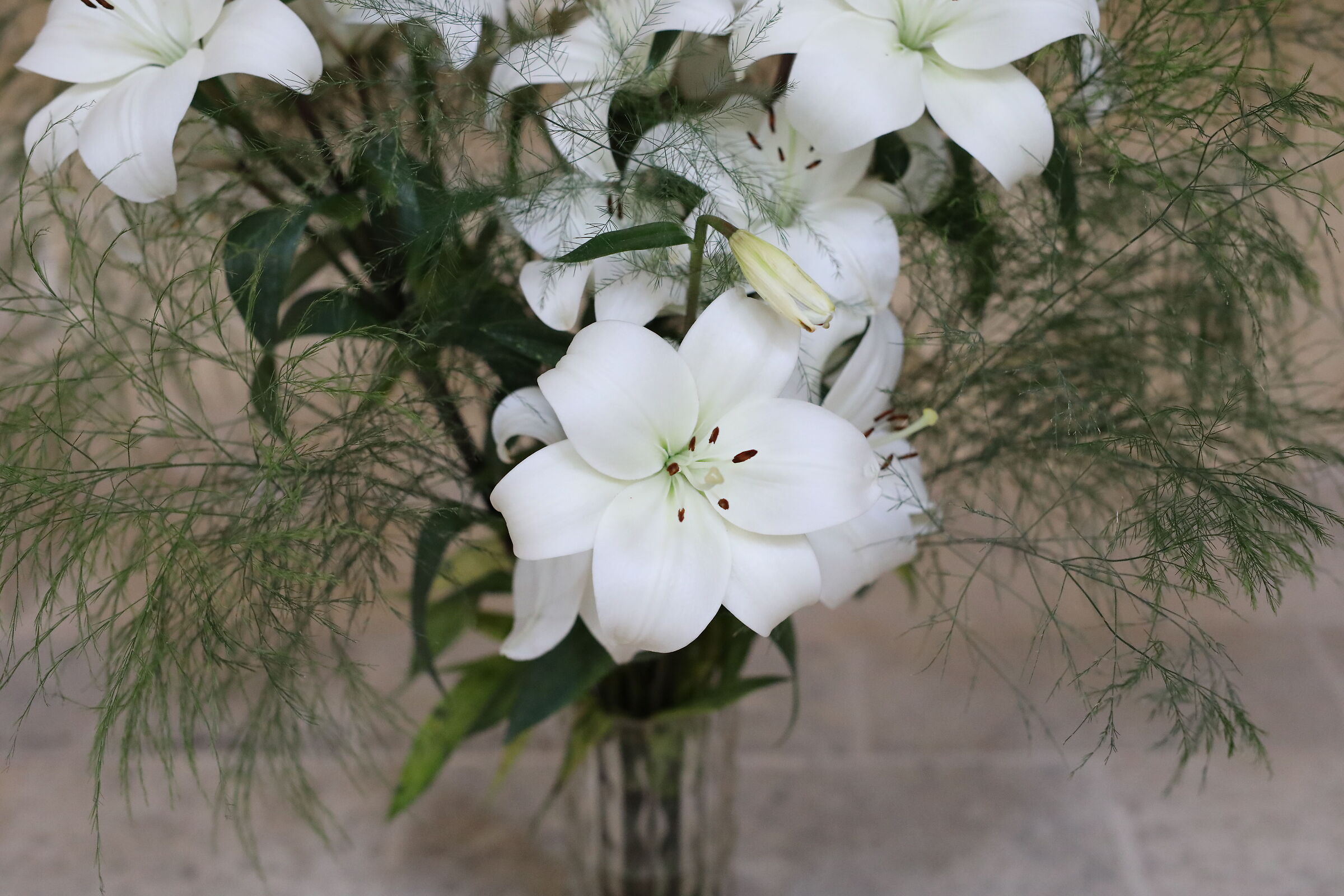 " ISO 6 Mila 400 " Canon 5 D IV- Milvus Zeiss 50, 1.4