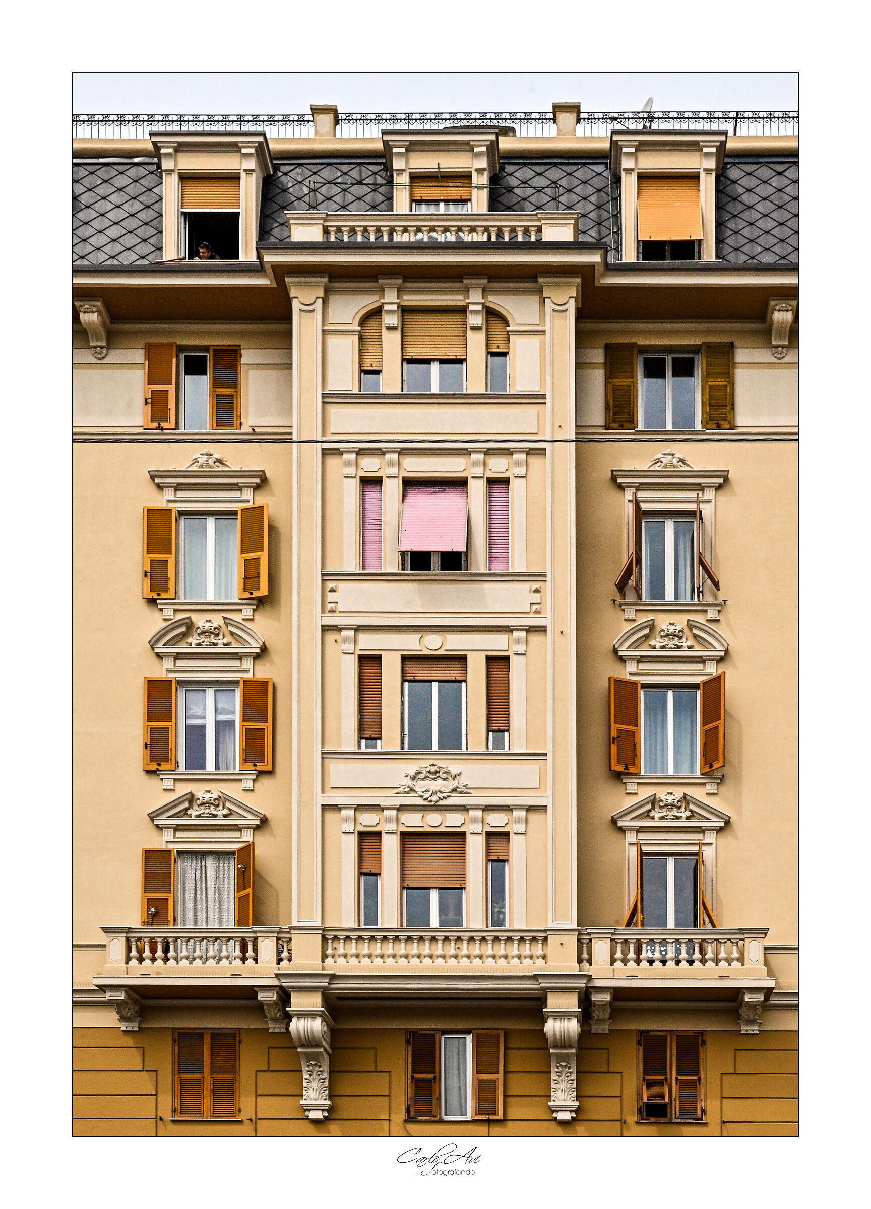 la persiana rosa