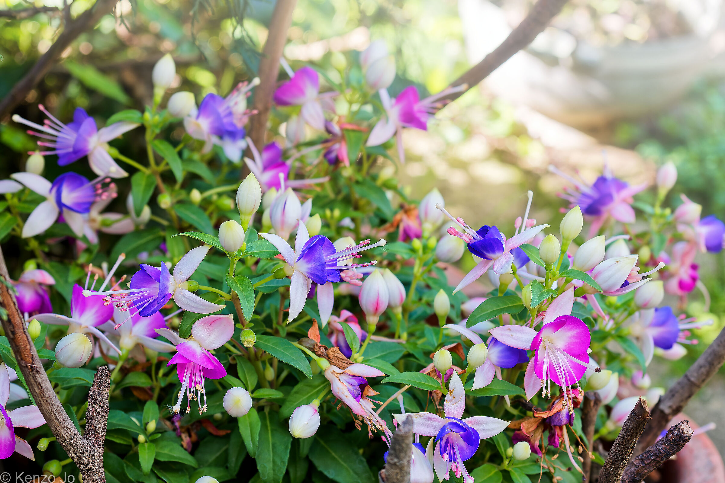 Primo pomeriggio d'estate