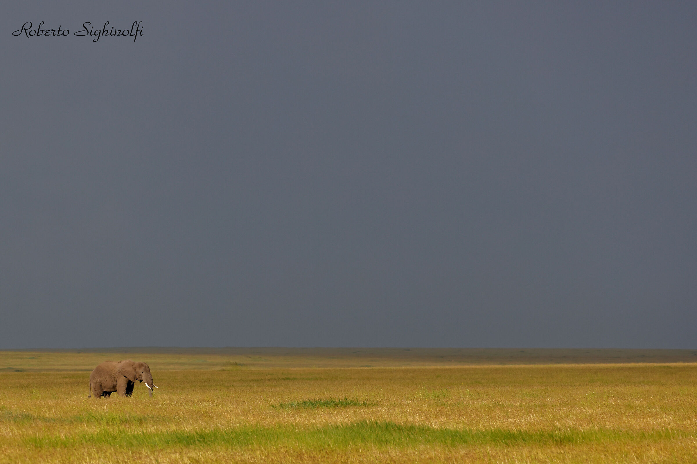 Tanzania 2024 - chiaro e scuro con 300 mm