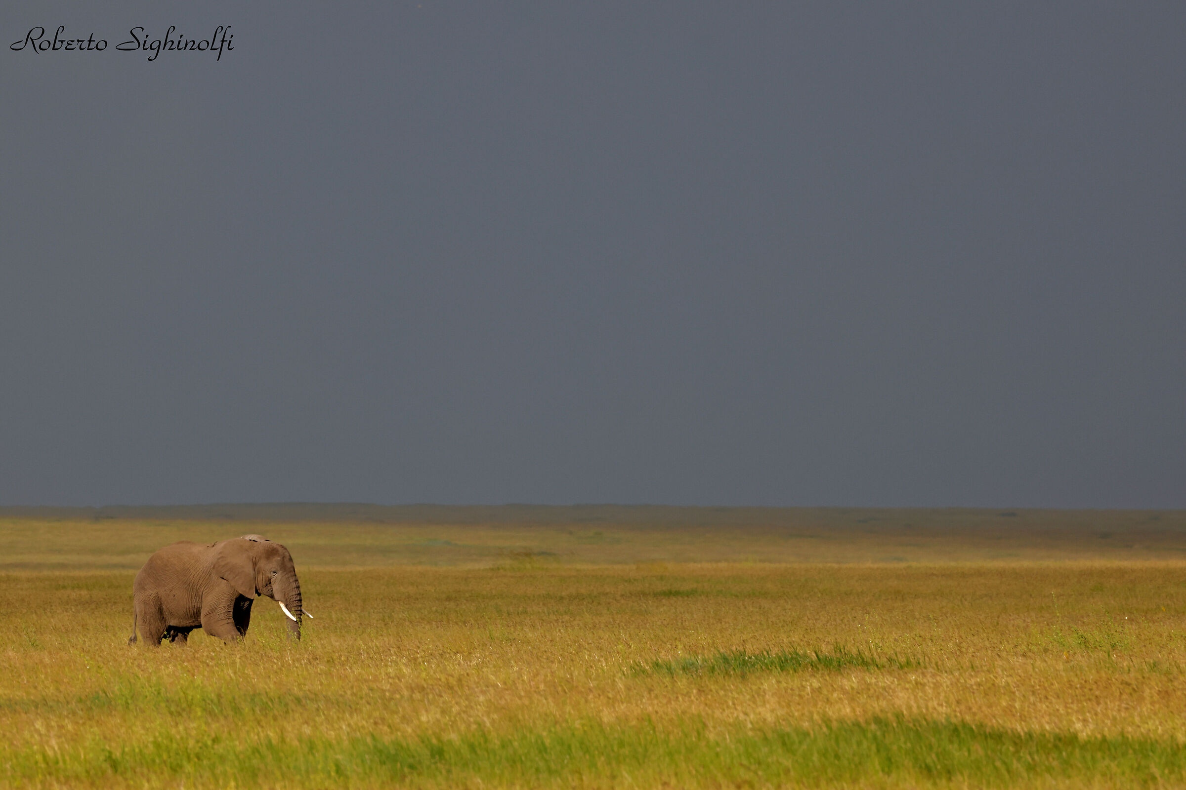 Tanzania 2024 - chiaro e scuro con 500 mm
