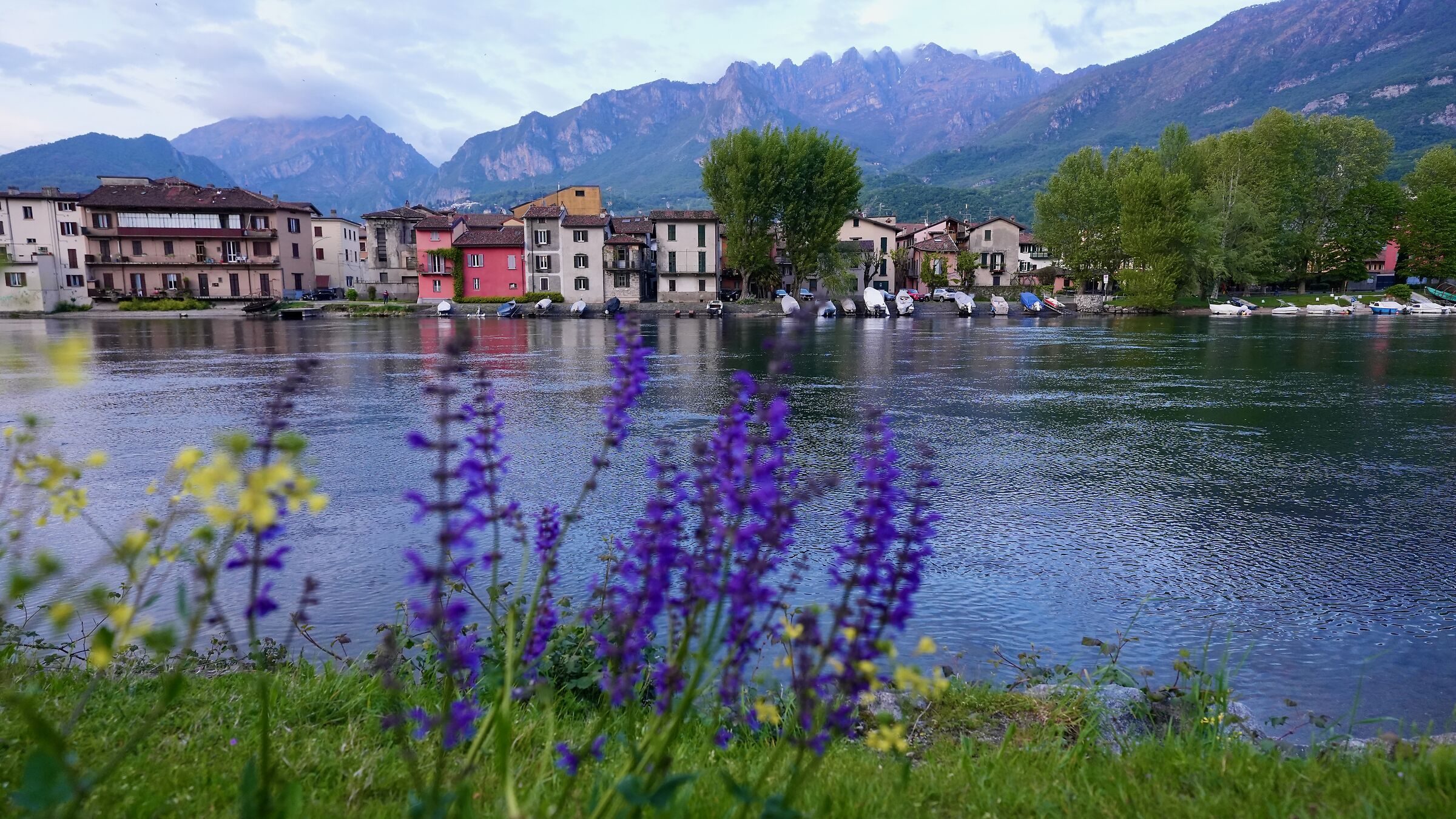 Pescarenico in spring 3