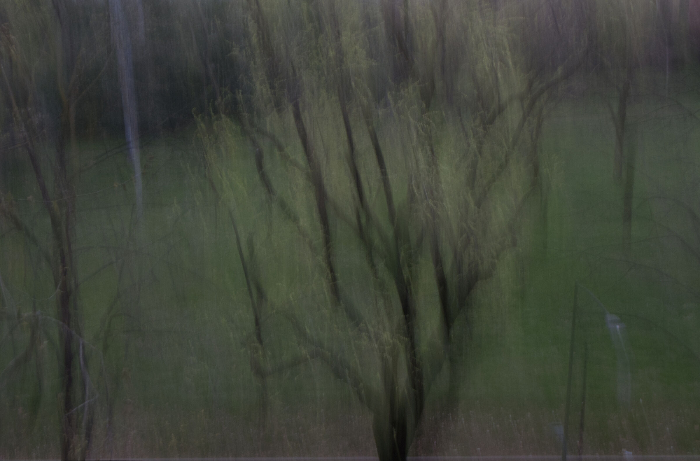 Inside the park