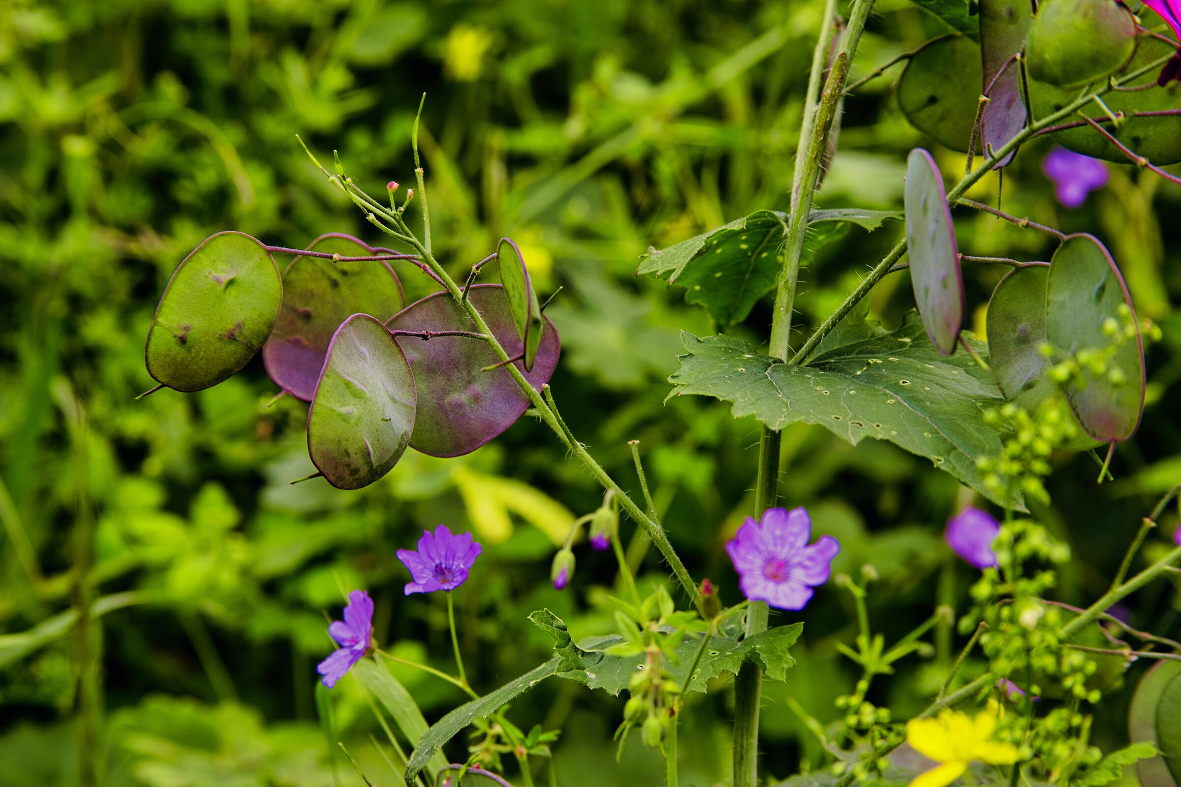 Untitled Photo