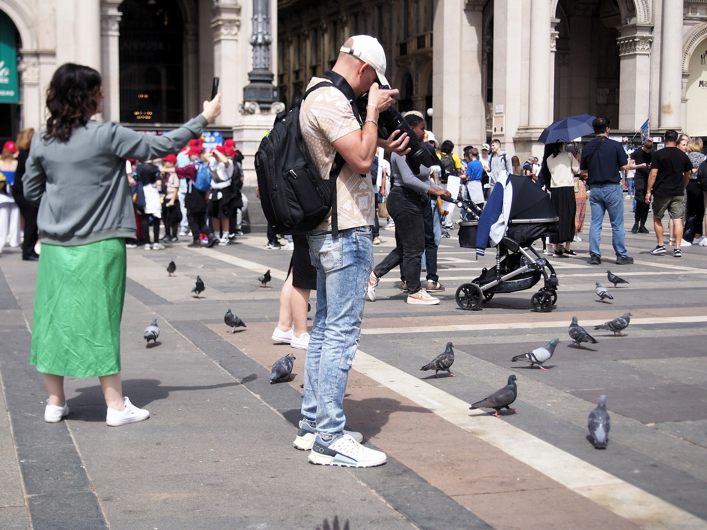 Avifauna in Piazza Duomo????