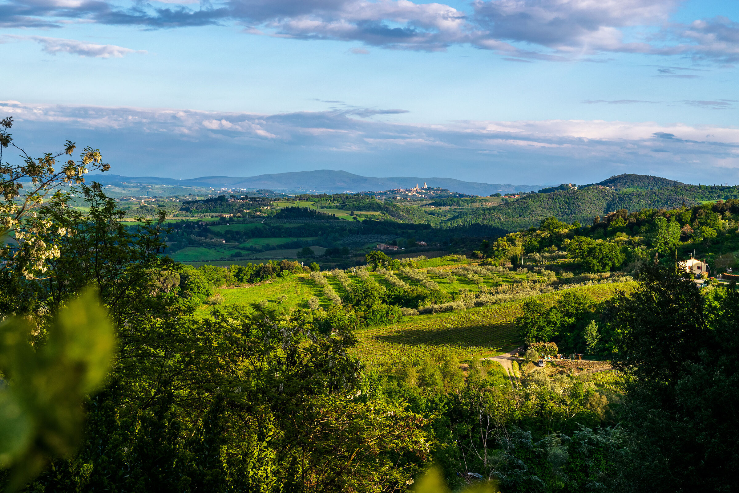 tramonto collinare