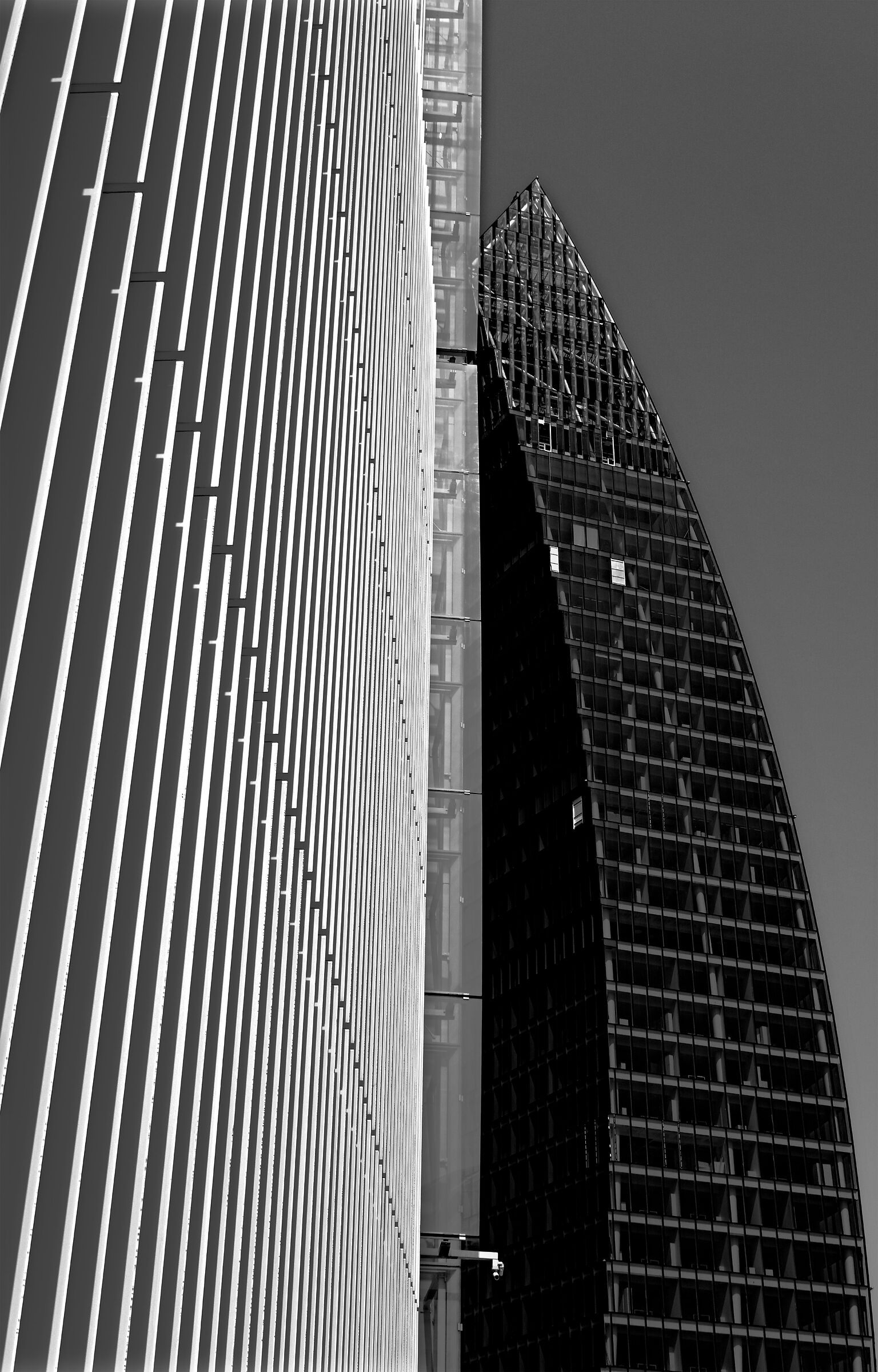 Verticali