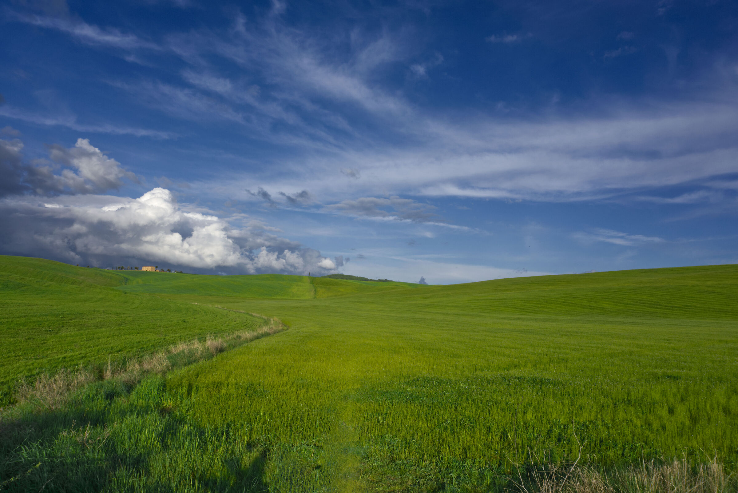 Val d'Orcia Countryside