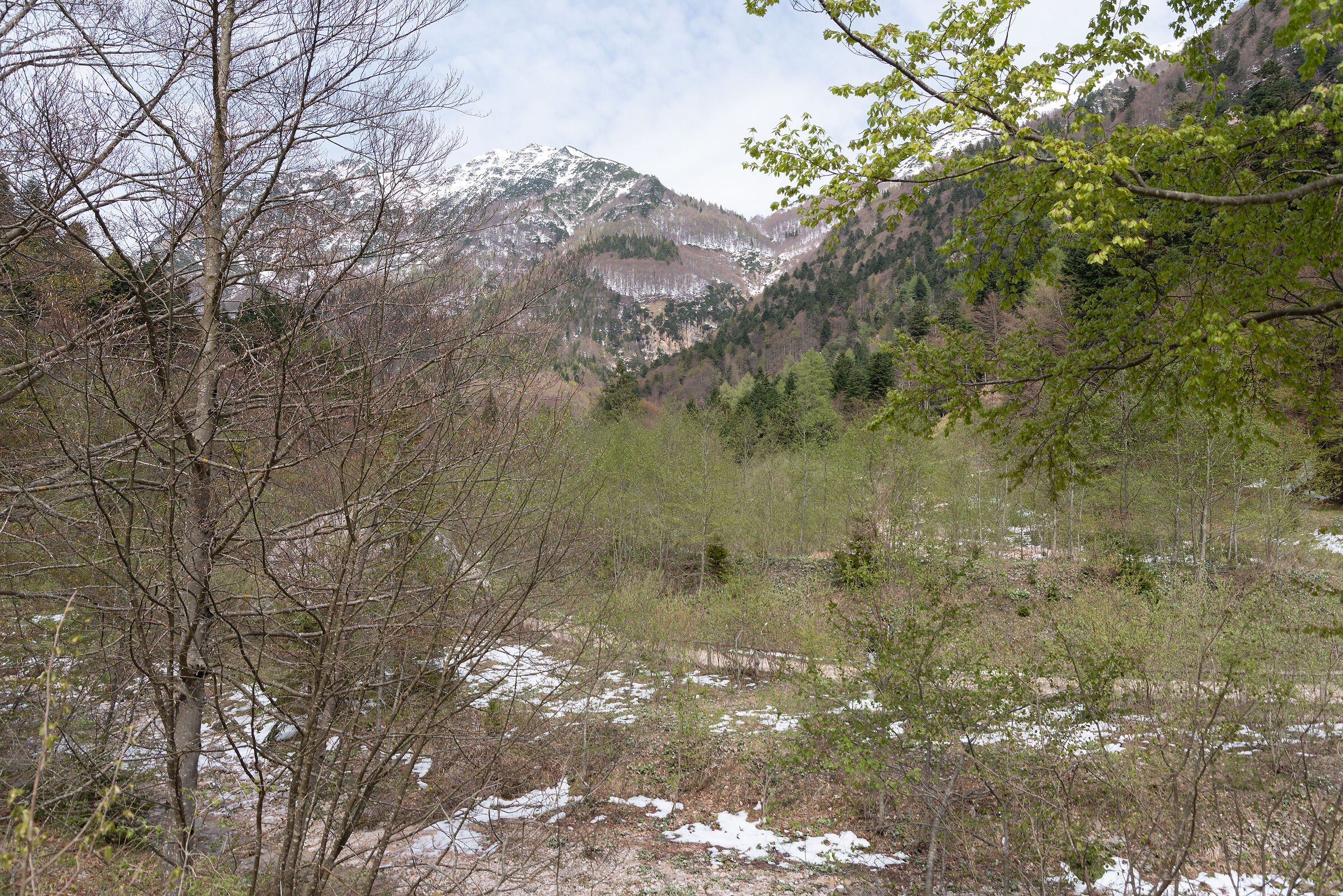 Into The Wild - Il disgelo