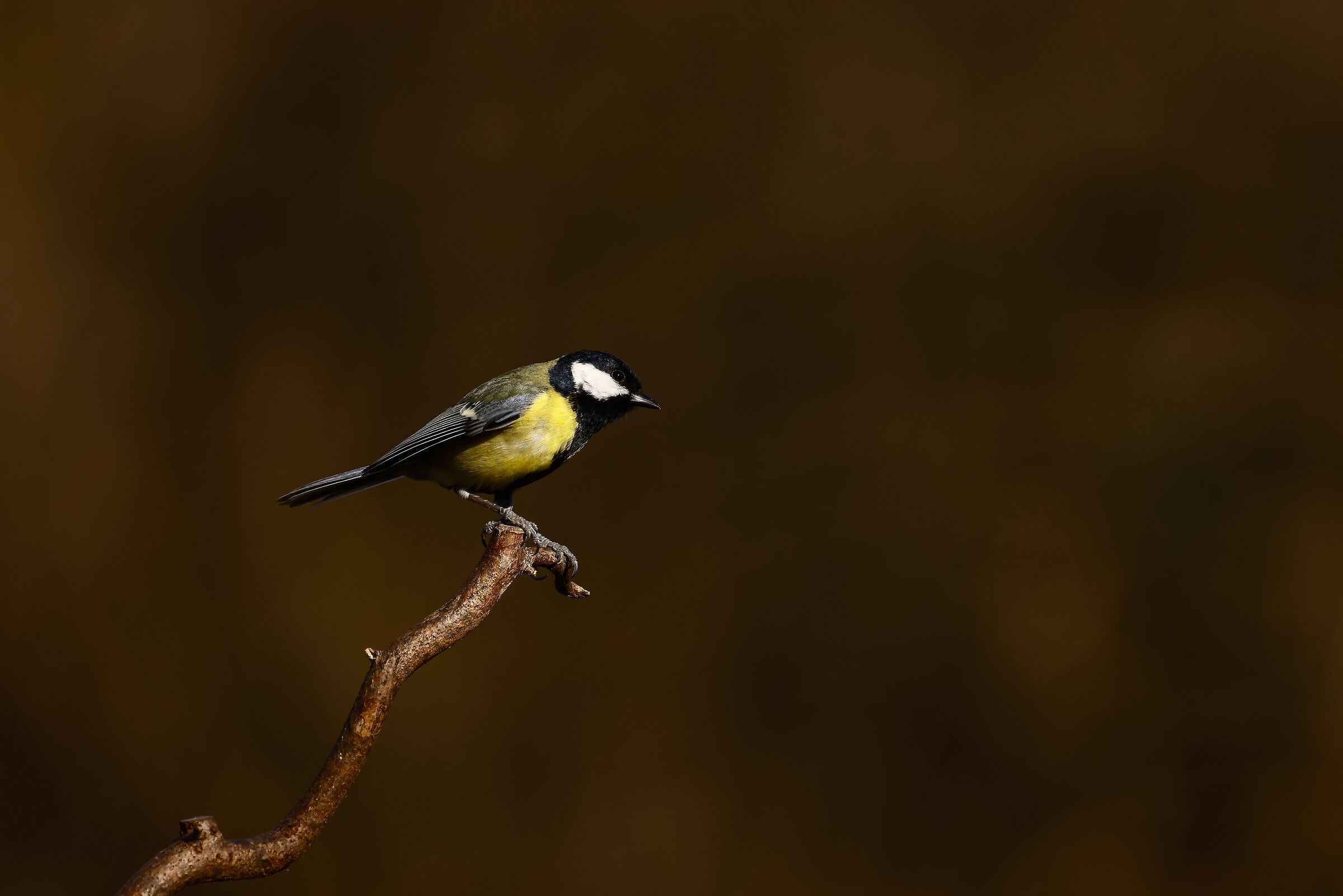 Una pausa di riflessione