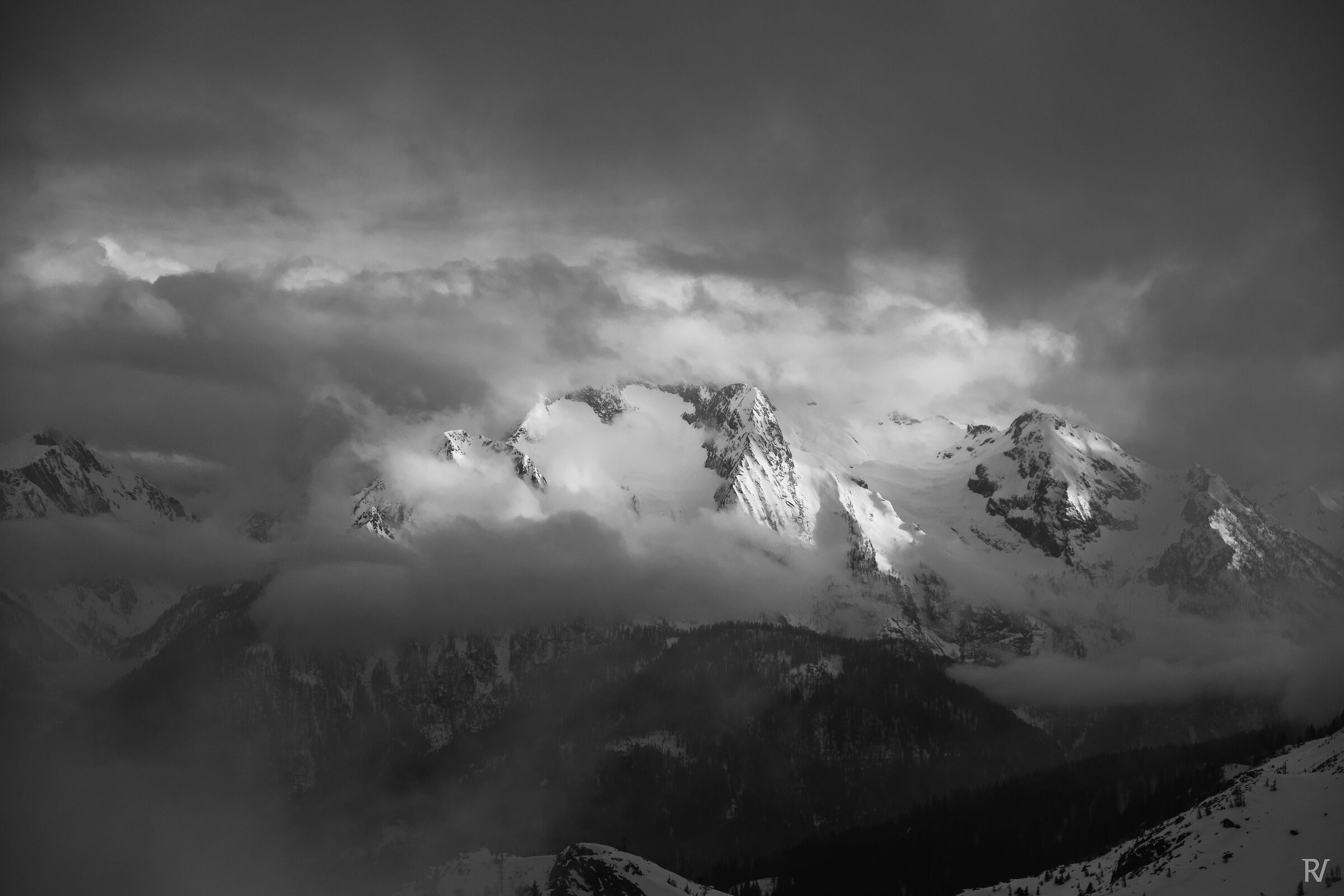 Tra il bianco e il grigio