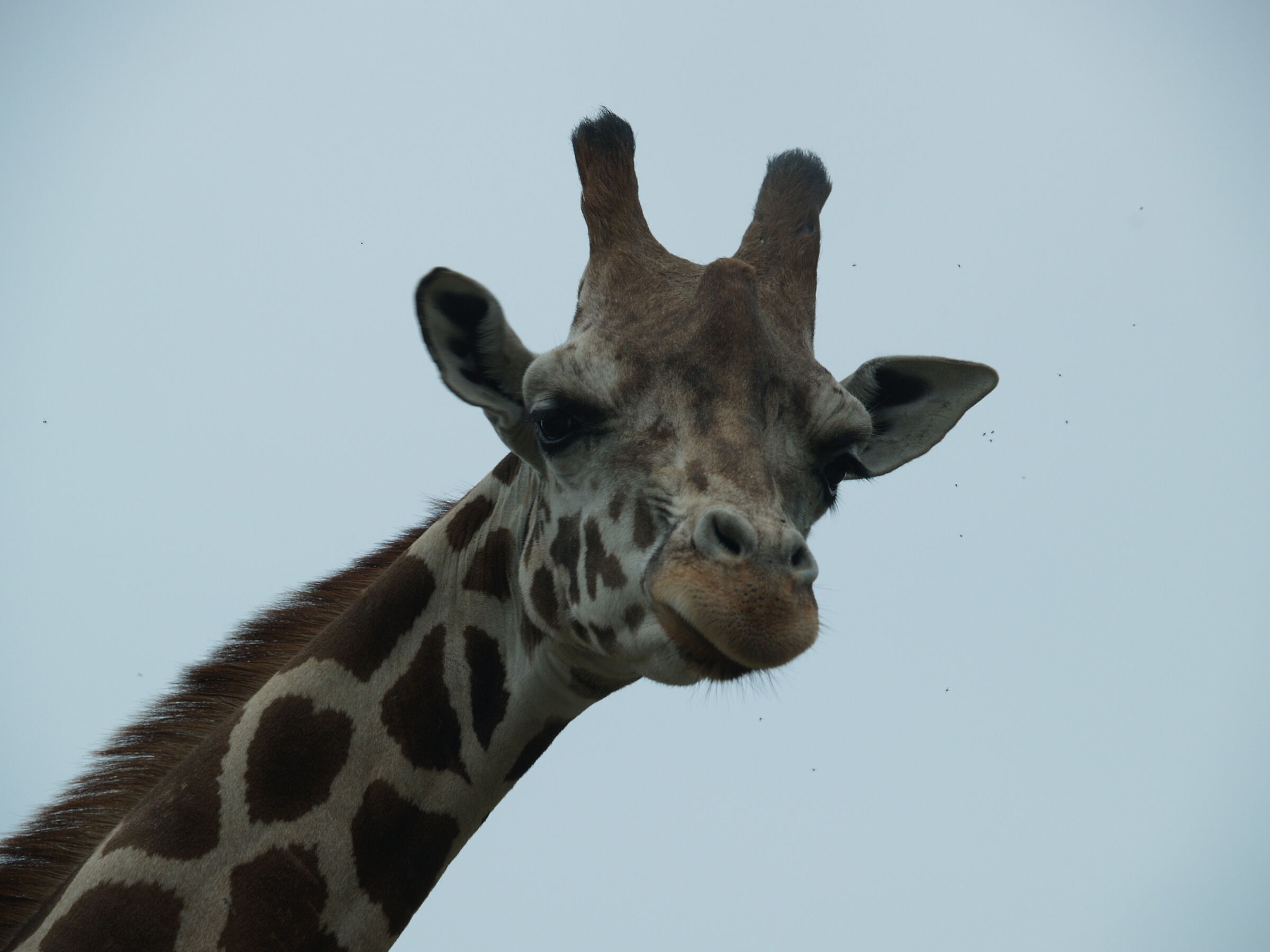 What are you looking at?