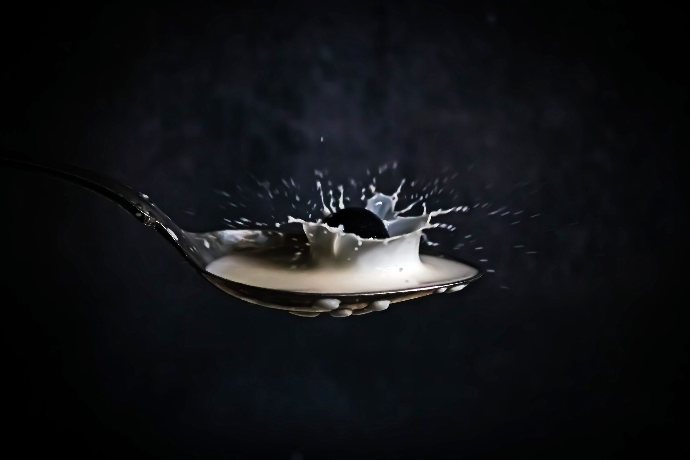 Milk and blueberries