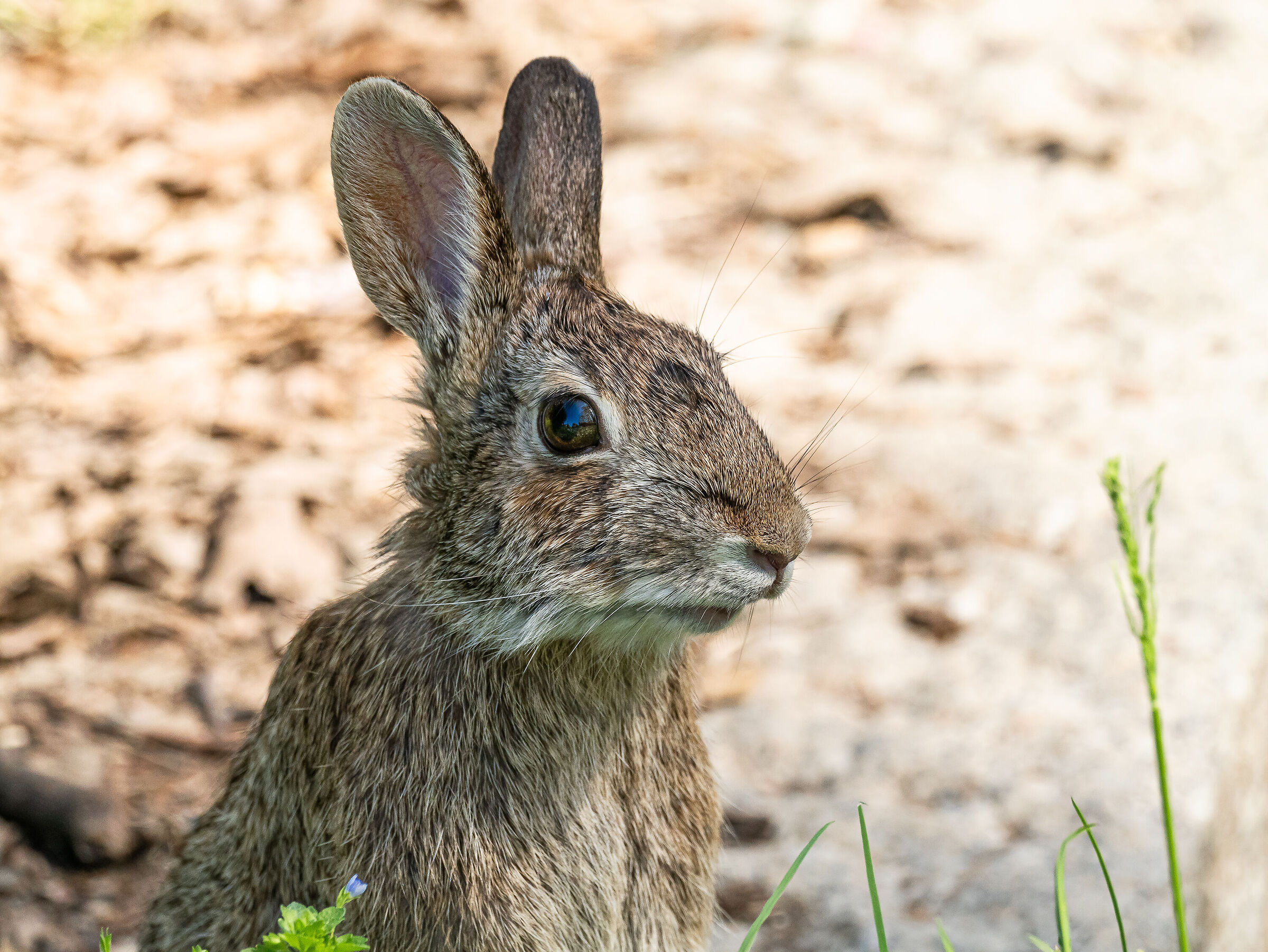 un simpatico incontro...