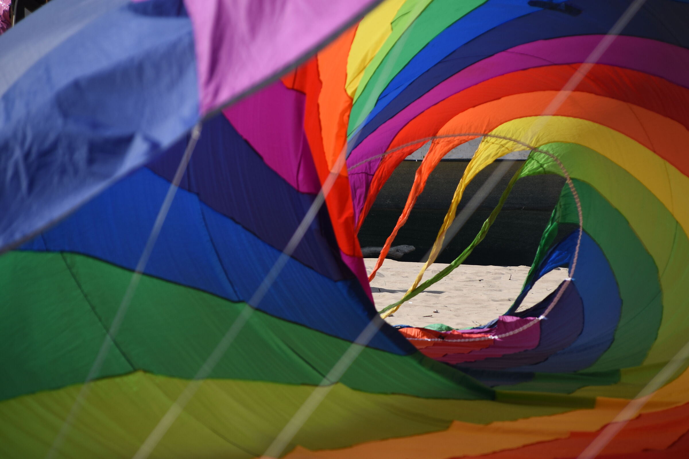 Gioco di colori e curve