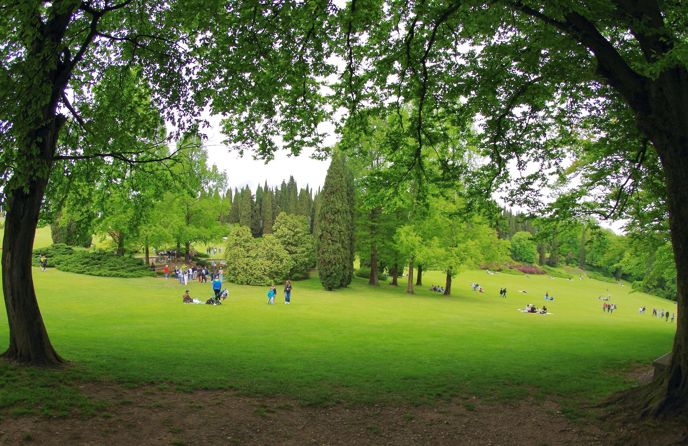 Park