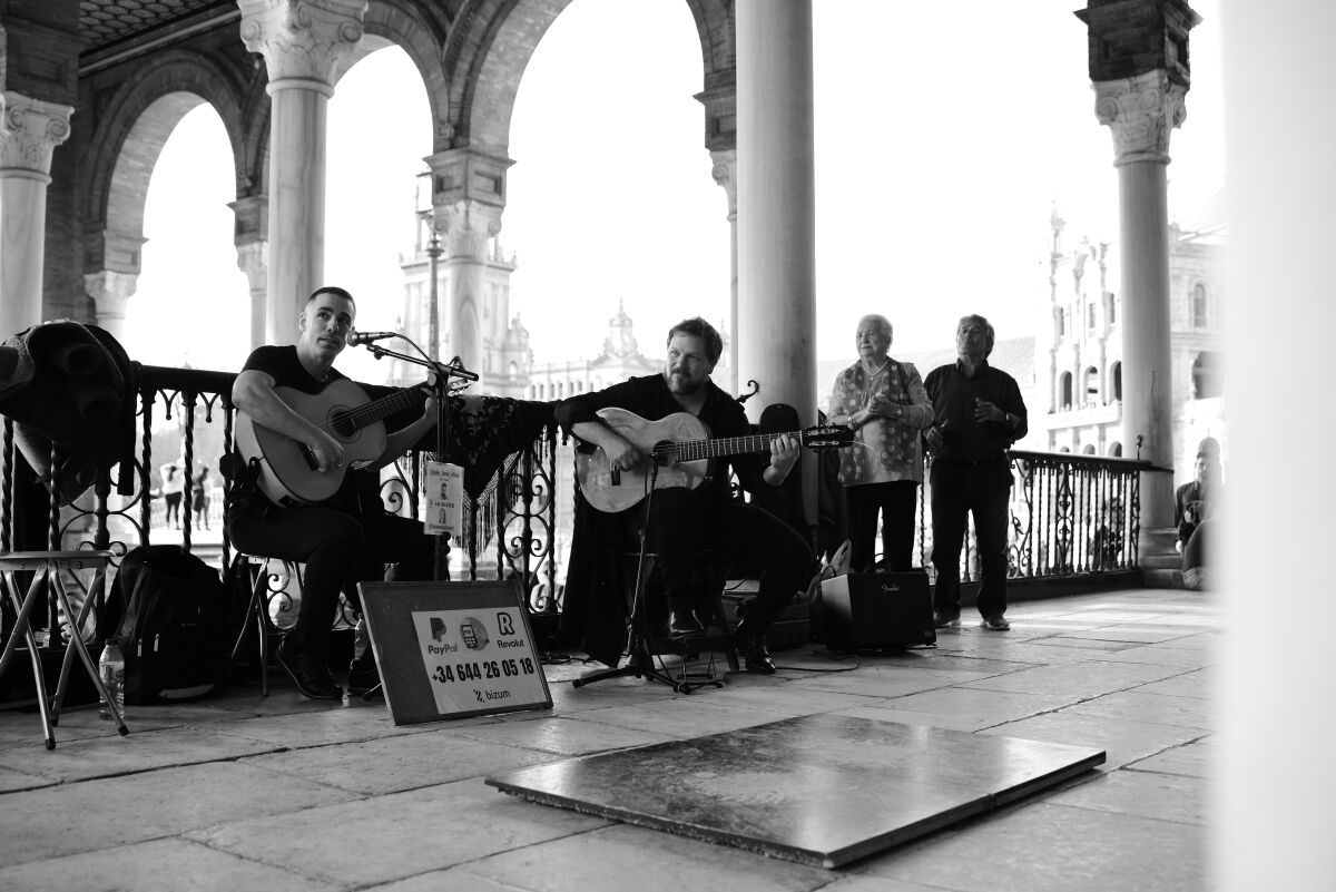 Guitarristas flamencos