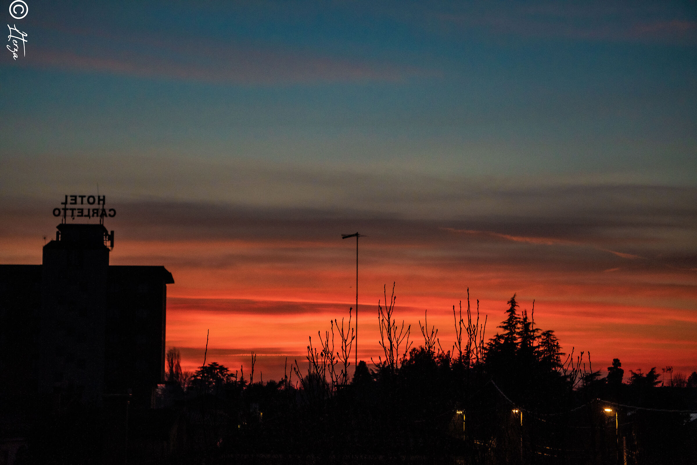 Untitled Photo