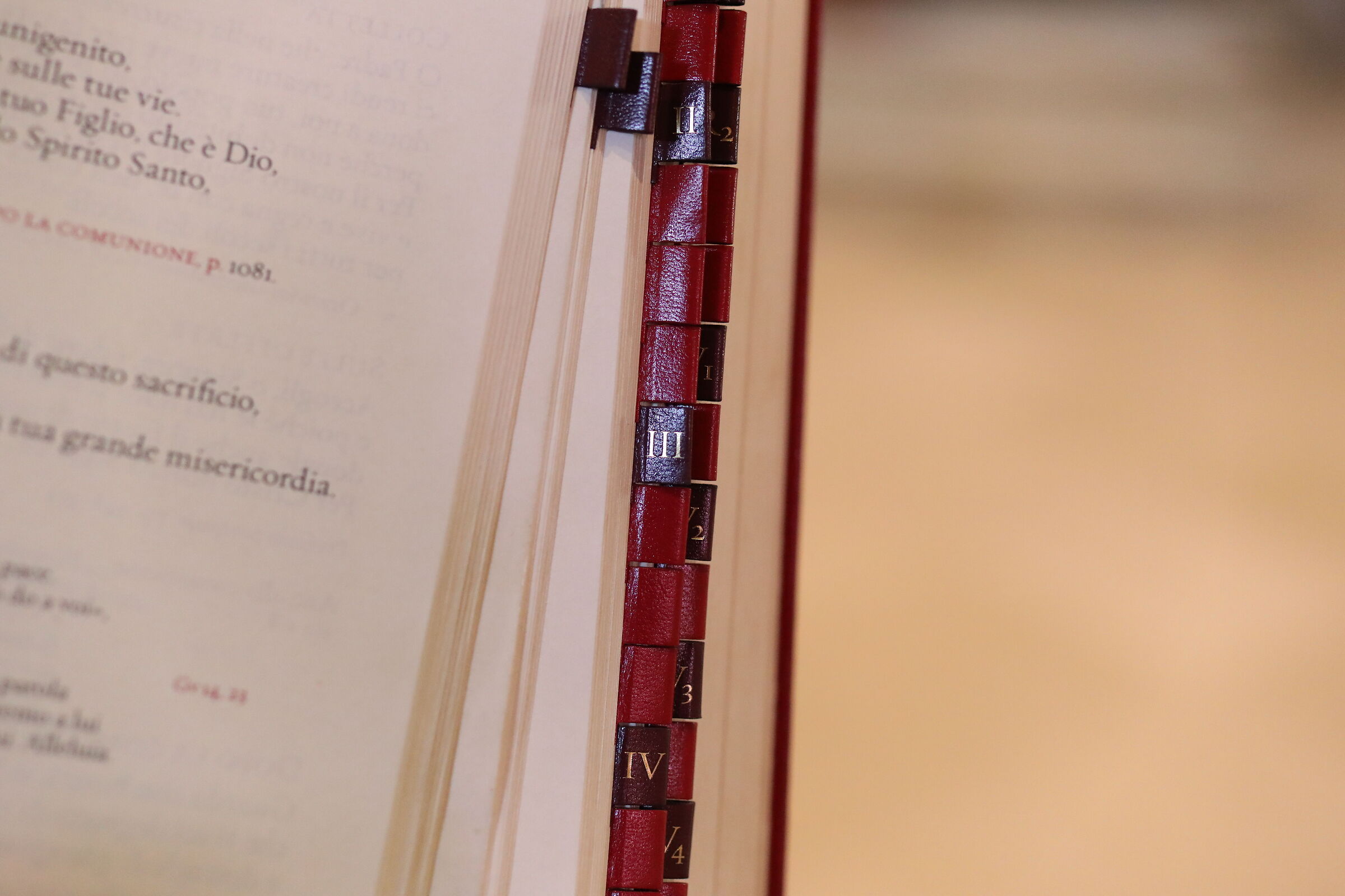 " ISO 6 Mila 400 " Canon 5 D IV- Milvua Zeiss 50, 1.4