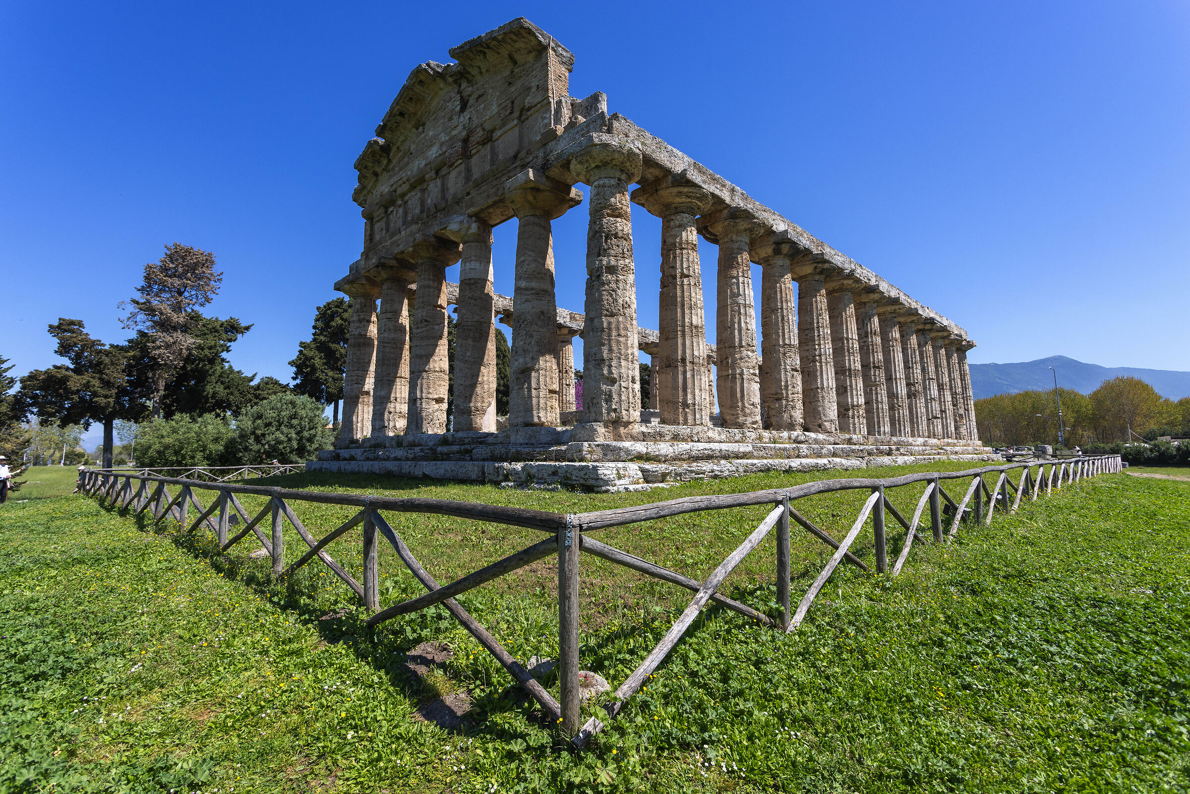 tempio di atena o tempio di cerere-paestum  (sa)