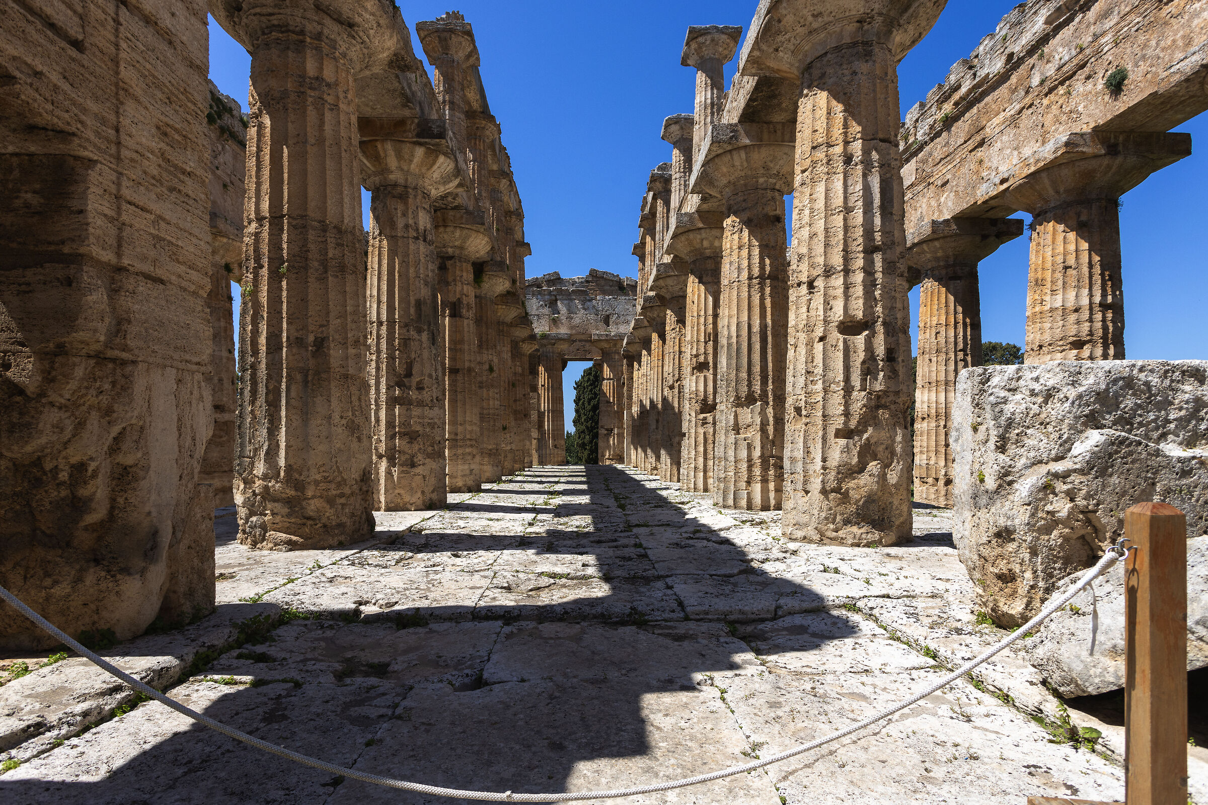 tempio di nettuno o tempio di poseidone - paestum (sa)
