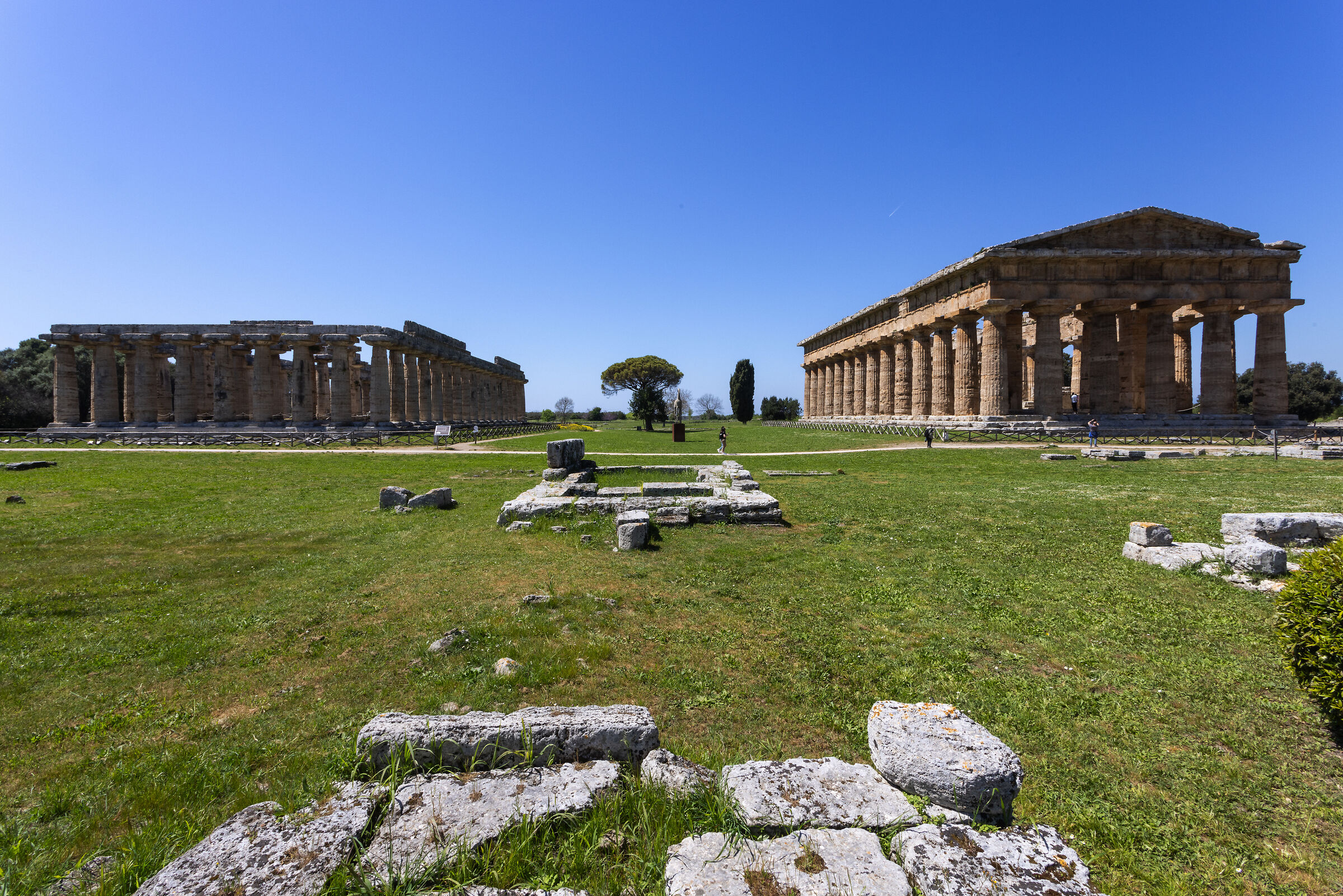 Tempio di Hera o basilica e Tempio di Nettuno - Paestum