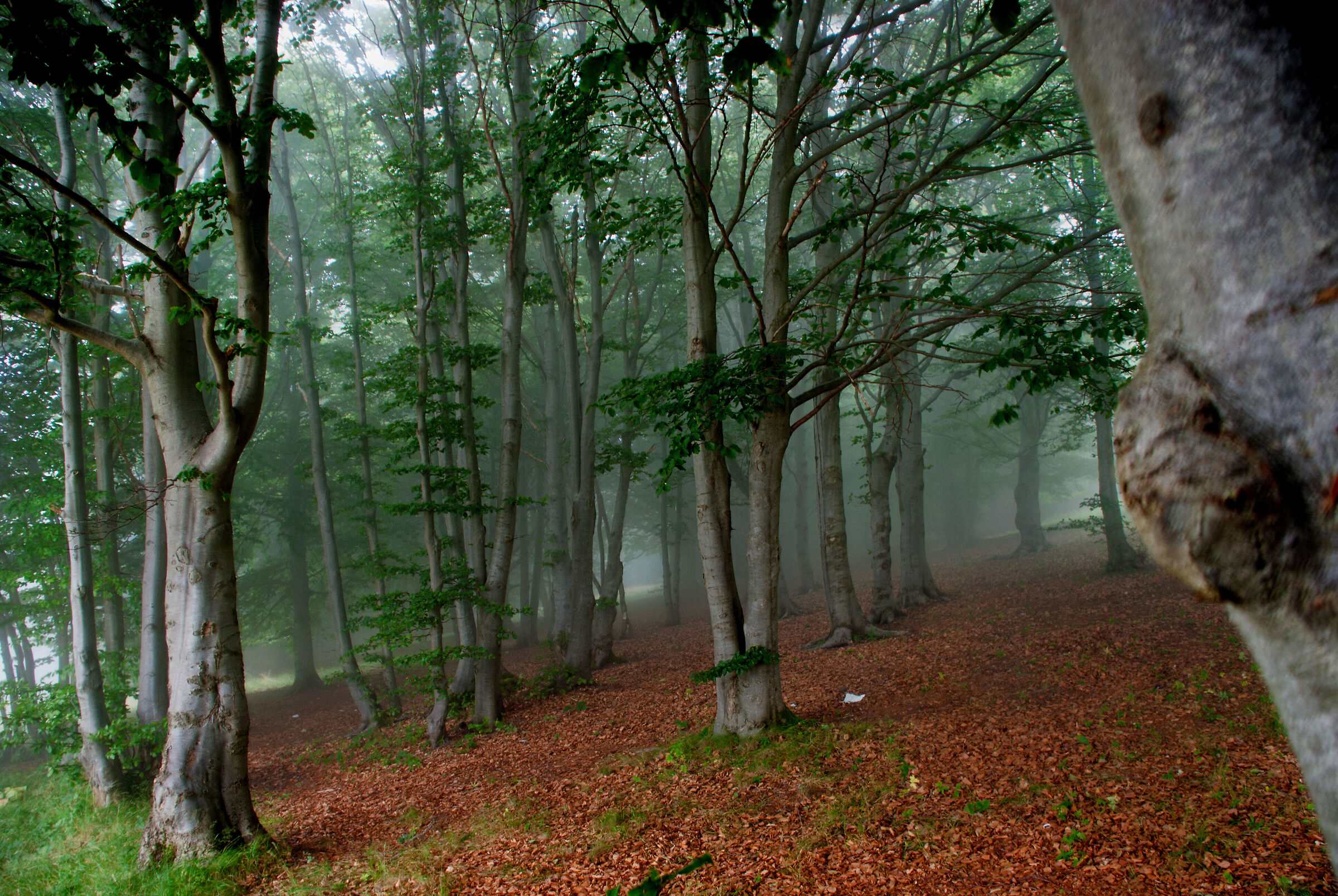 Mt. Beigua Natural Park
