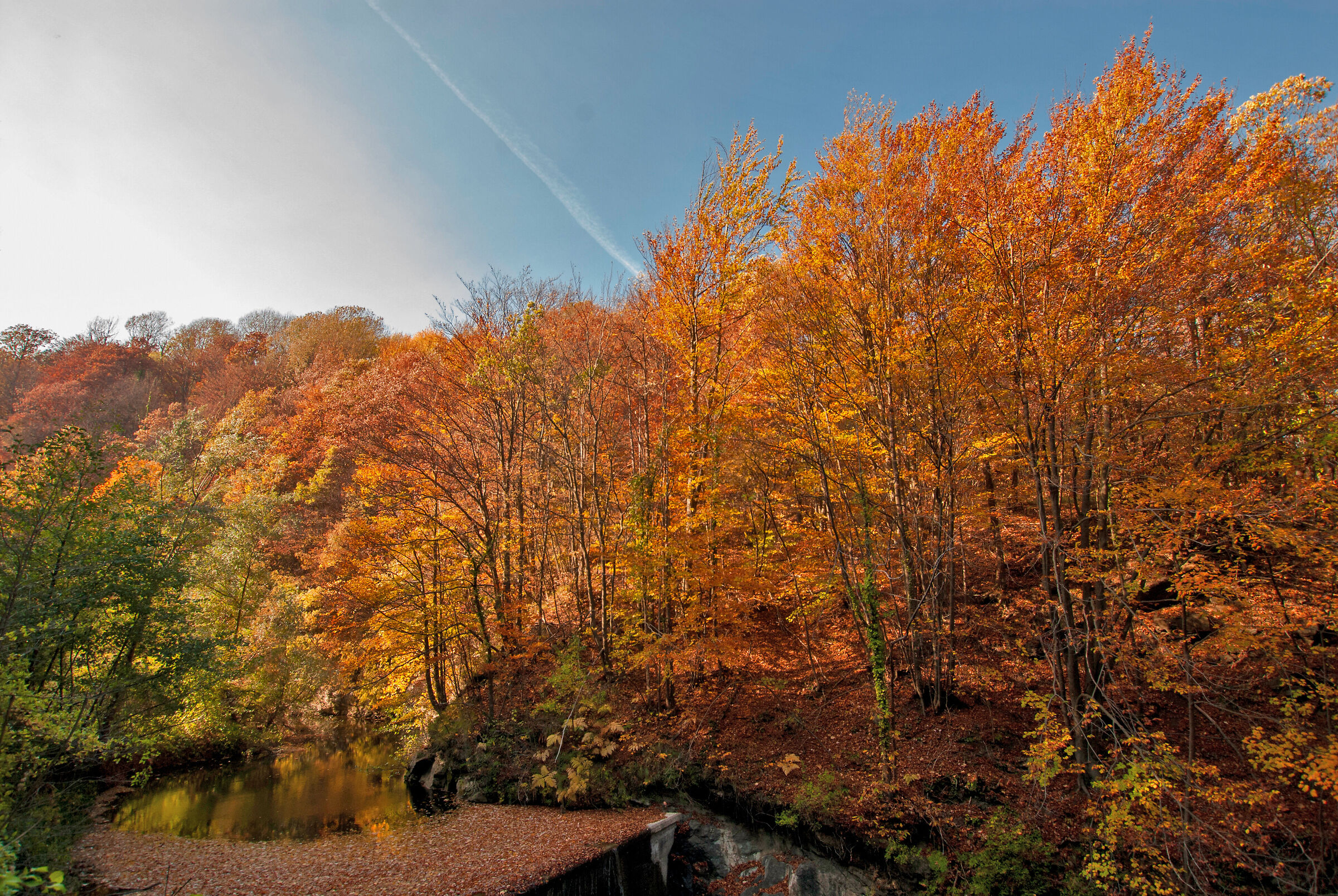 The colours of autumn