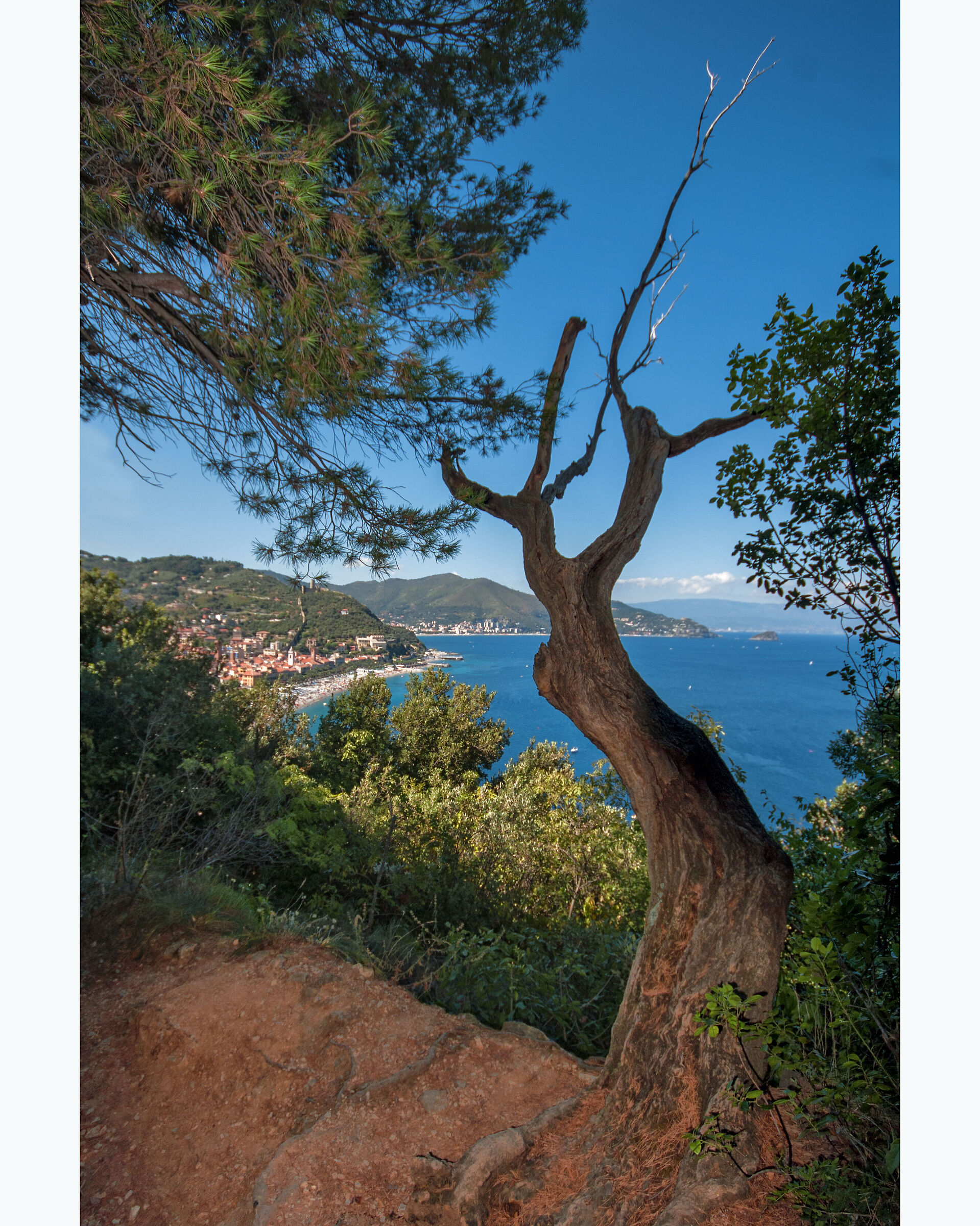 Noli-The Dante's Way