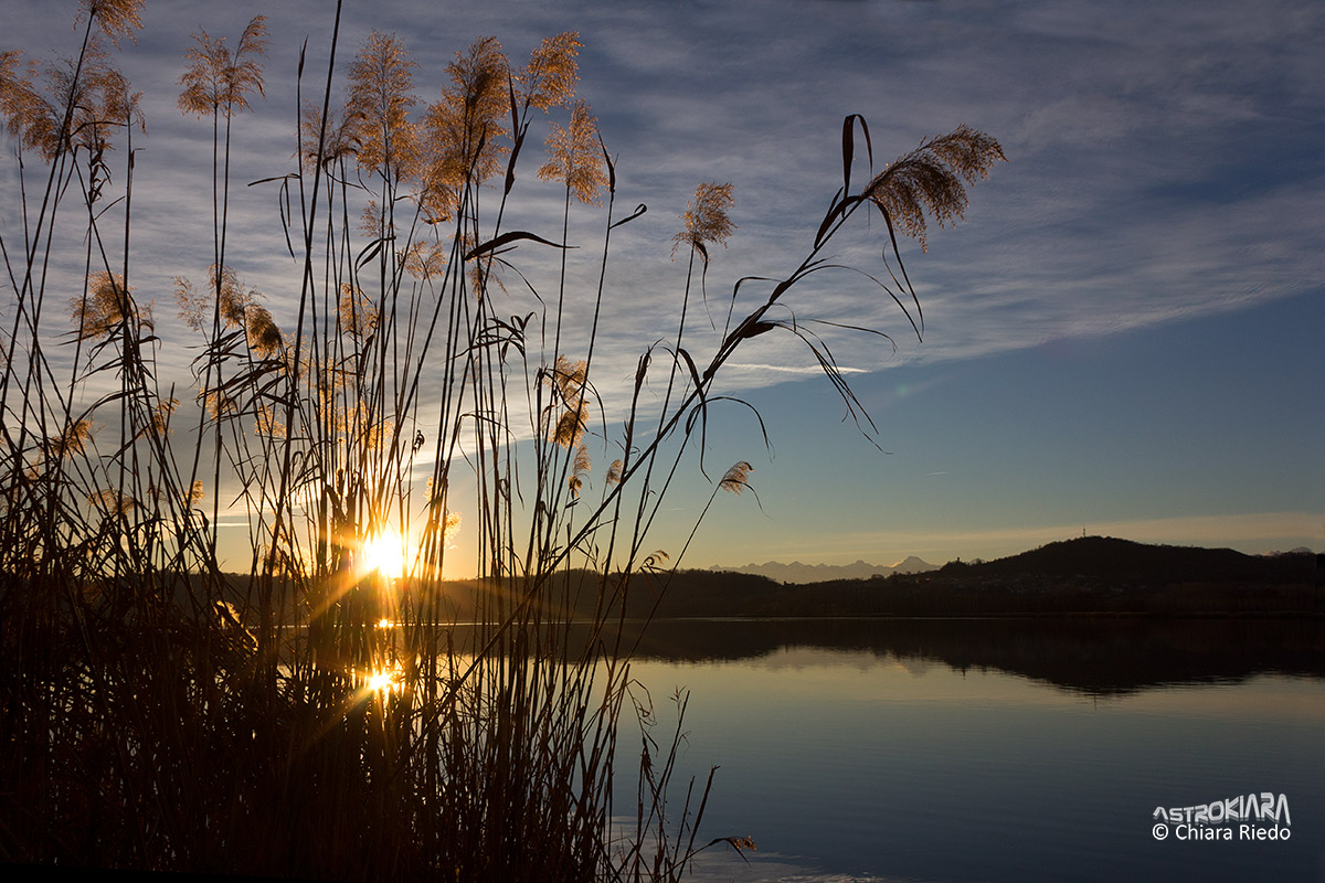 Tramonto nel canneto