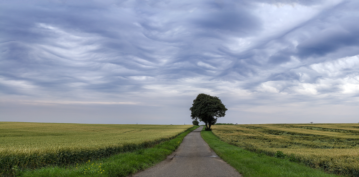 Campagna di Teutschenthal