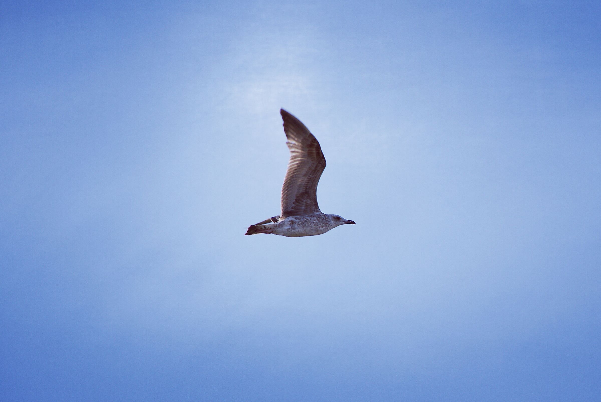 In the blue painted blue