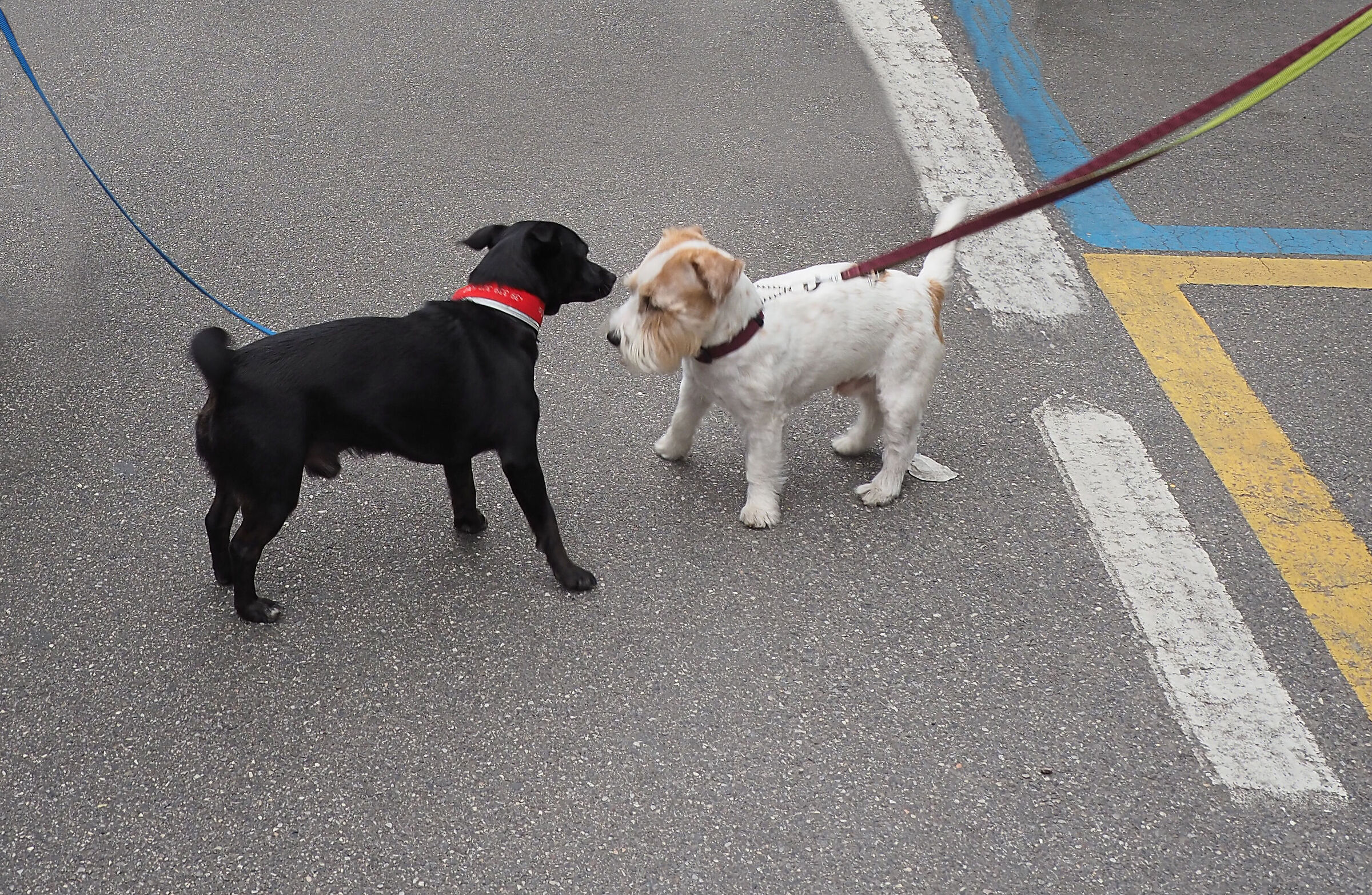 incontro ravvicinato