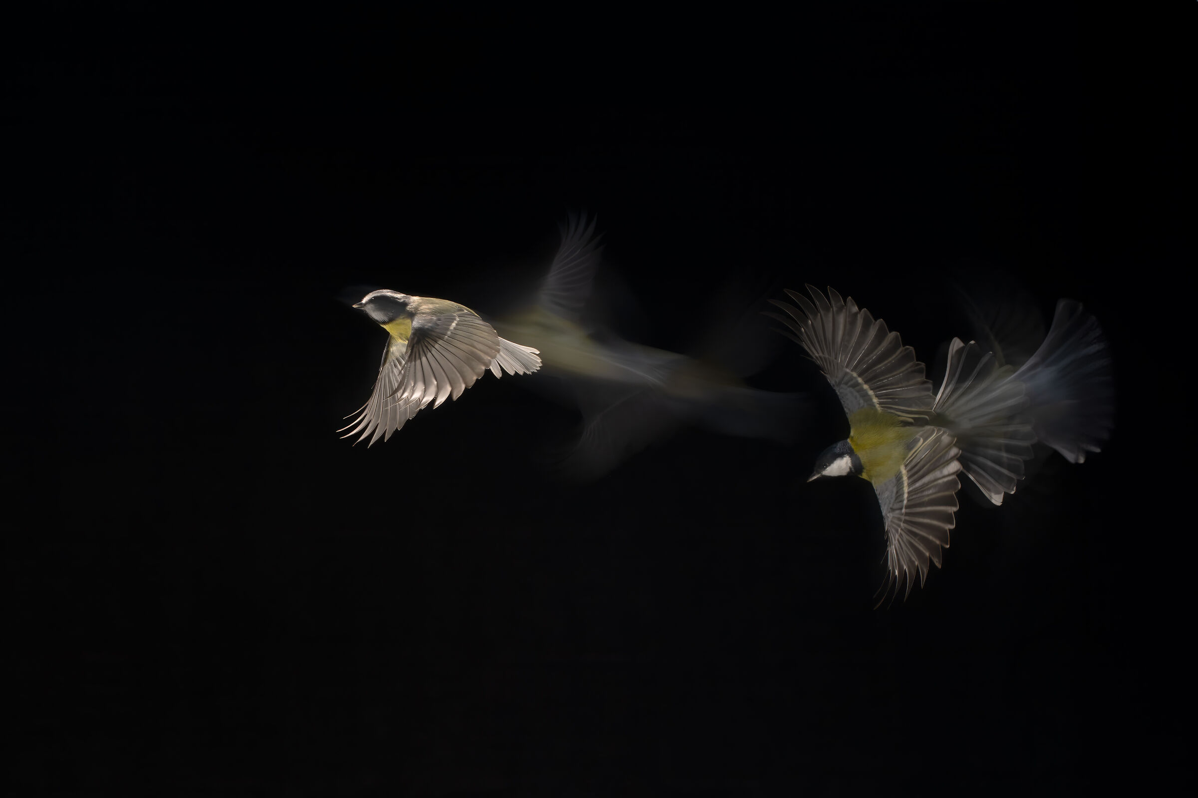 Flying together