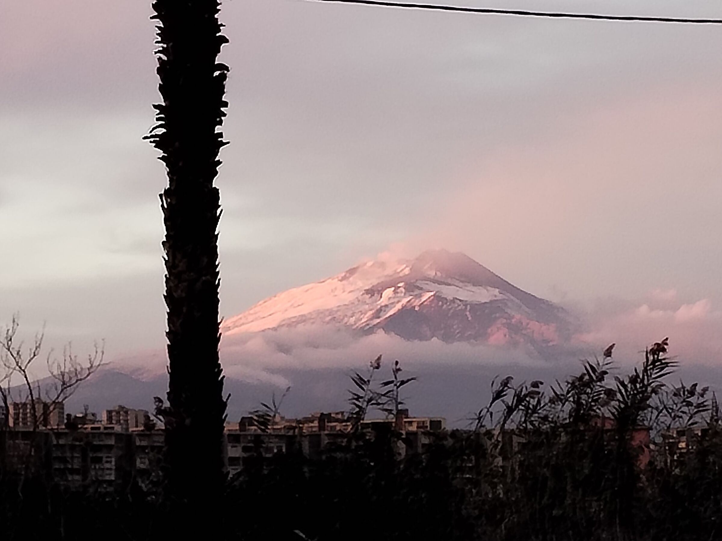 Kissed by the sunset