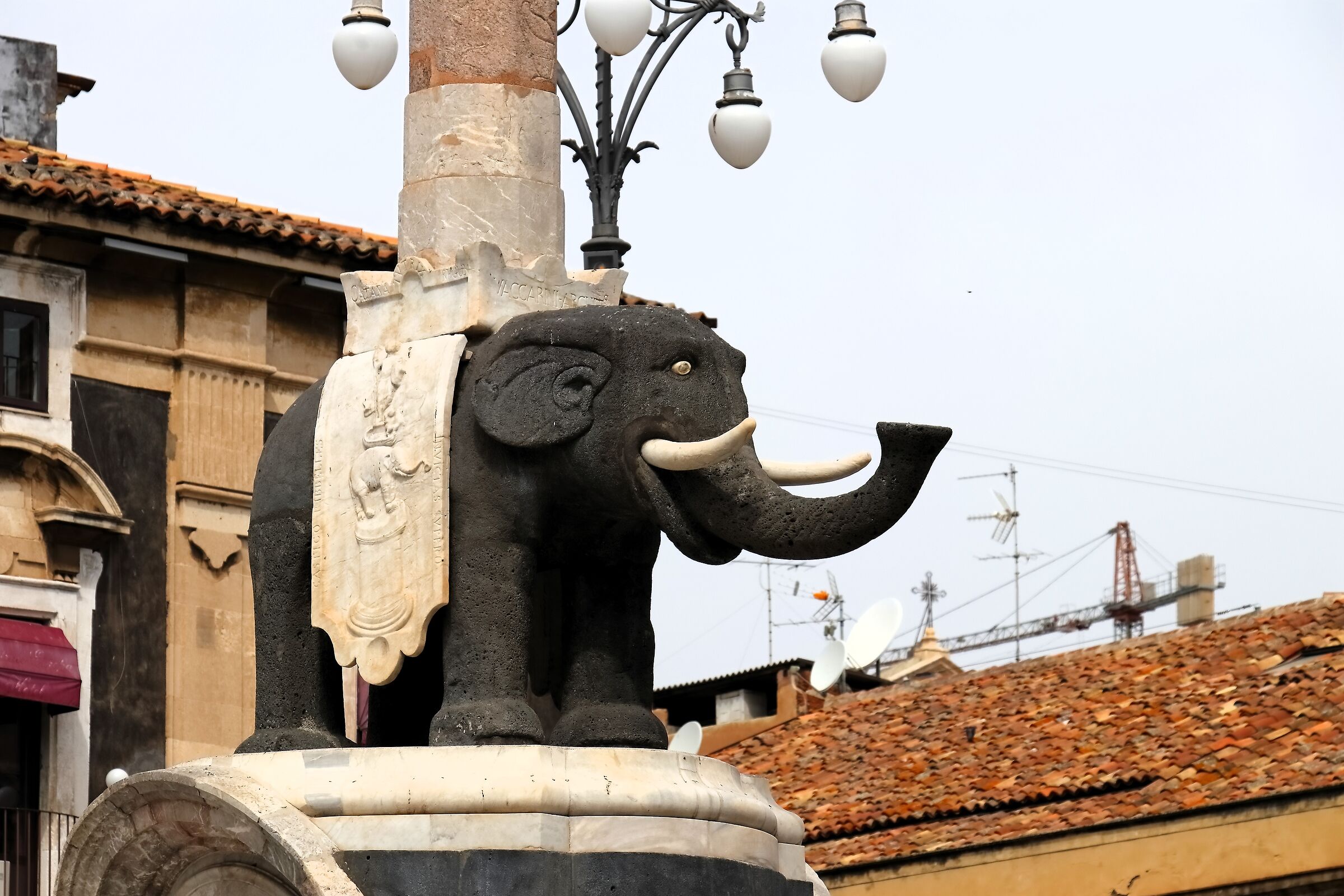 Catania 15-04-2024 - 0191