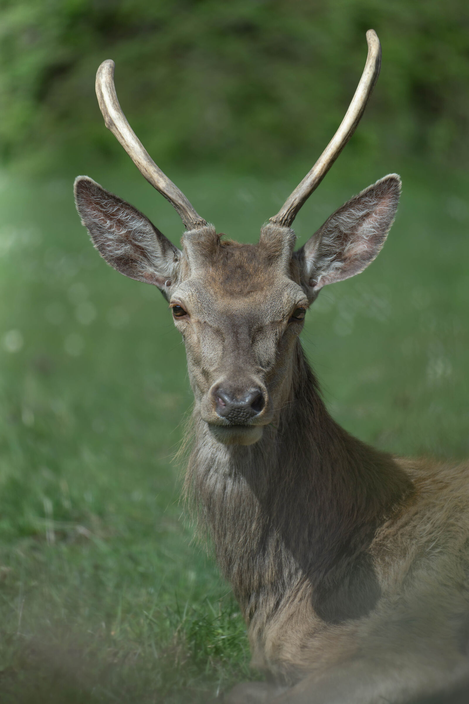 Looking into each other eyes