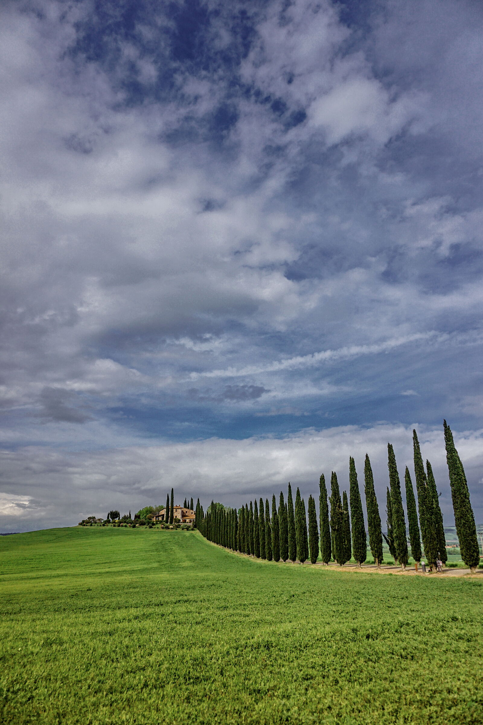 Farm with cypresses - Val d'Orcia
