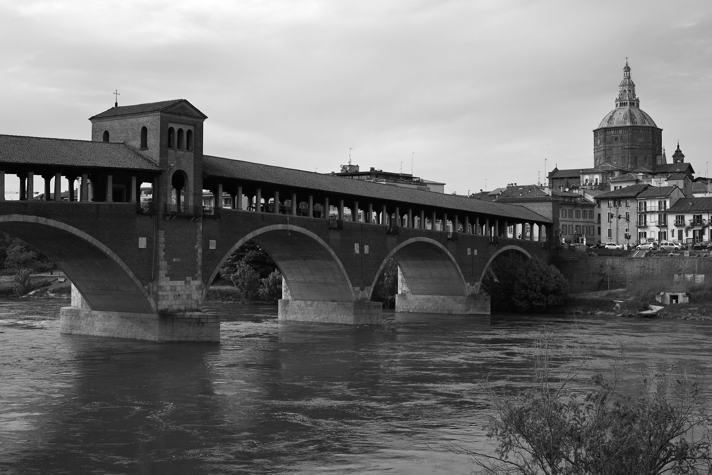 ....dal Burgh A Bass