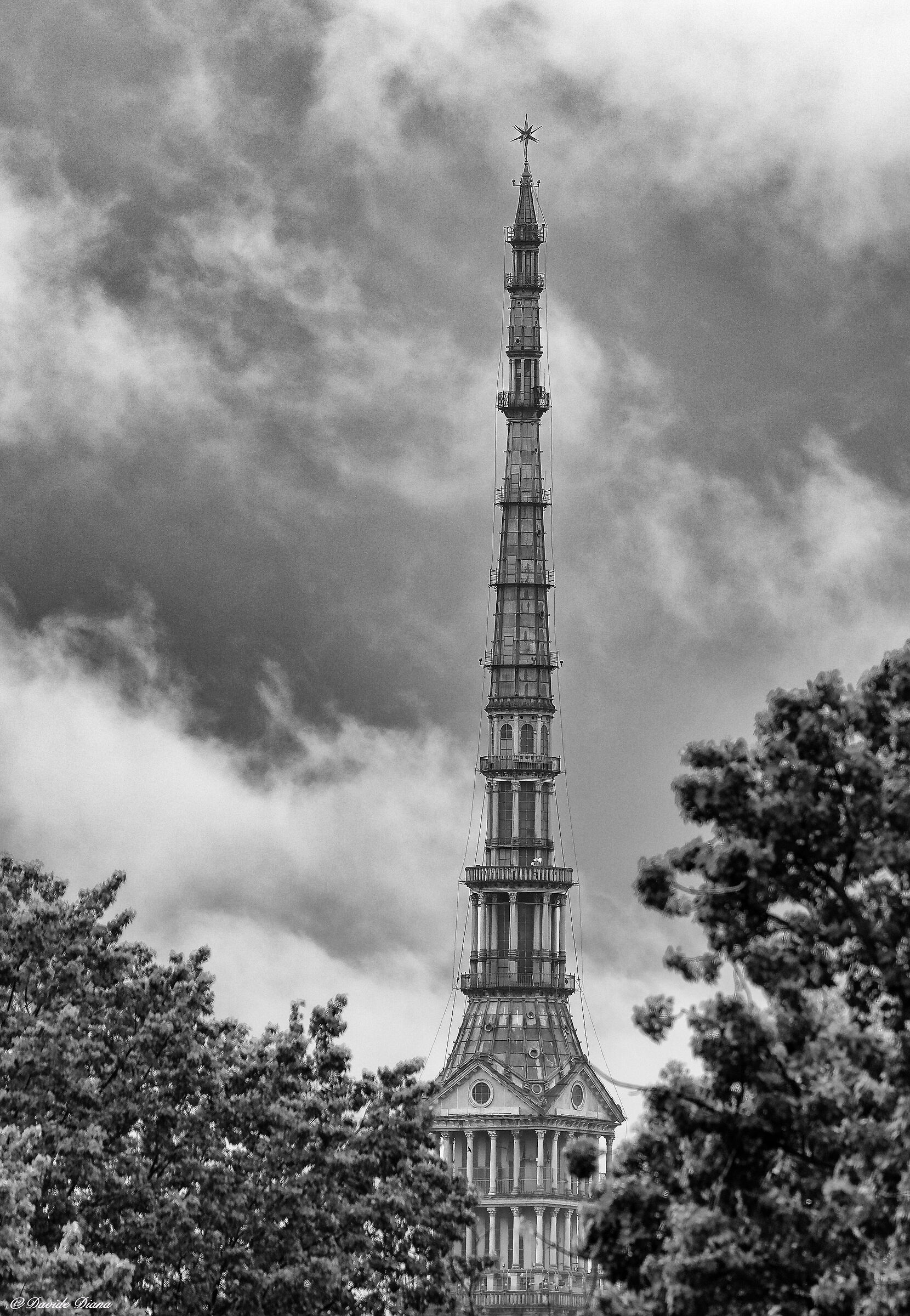 Torino Monochrome