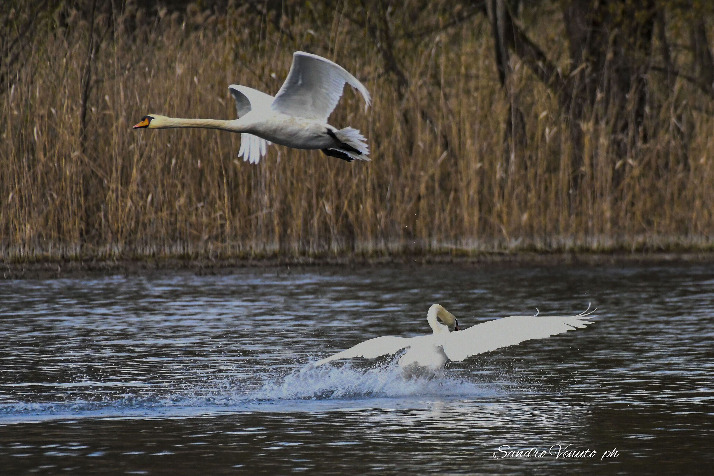 Take-off and landing