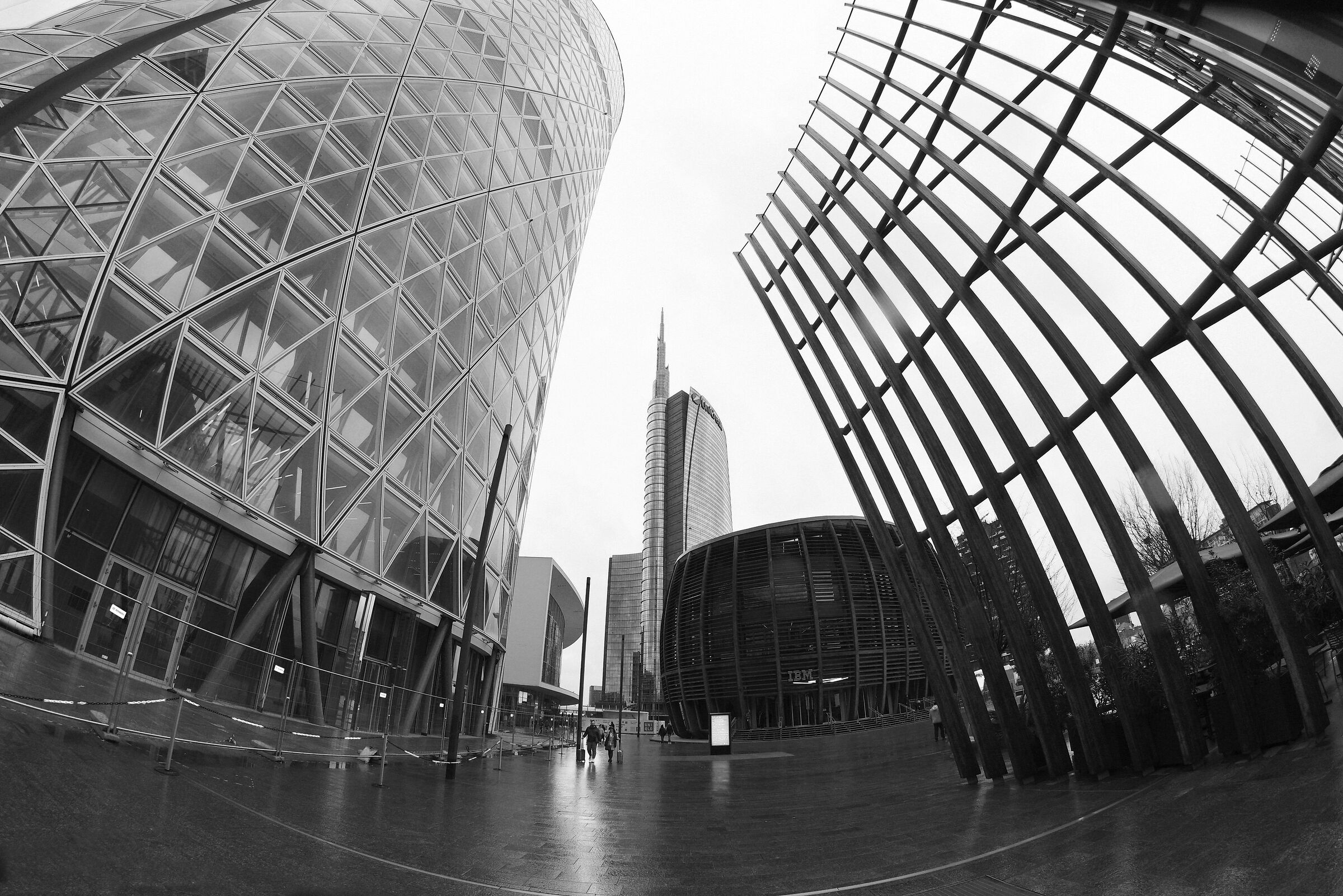 oggi è un giorno in bianco nero