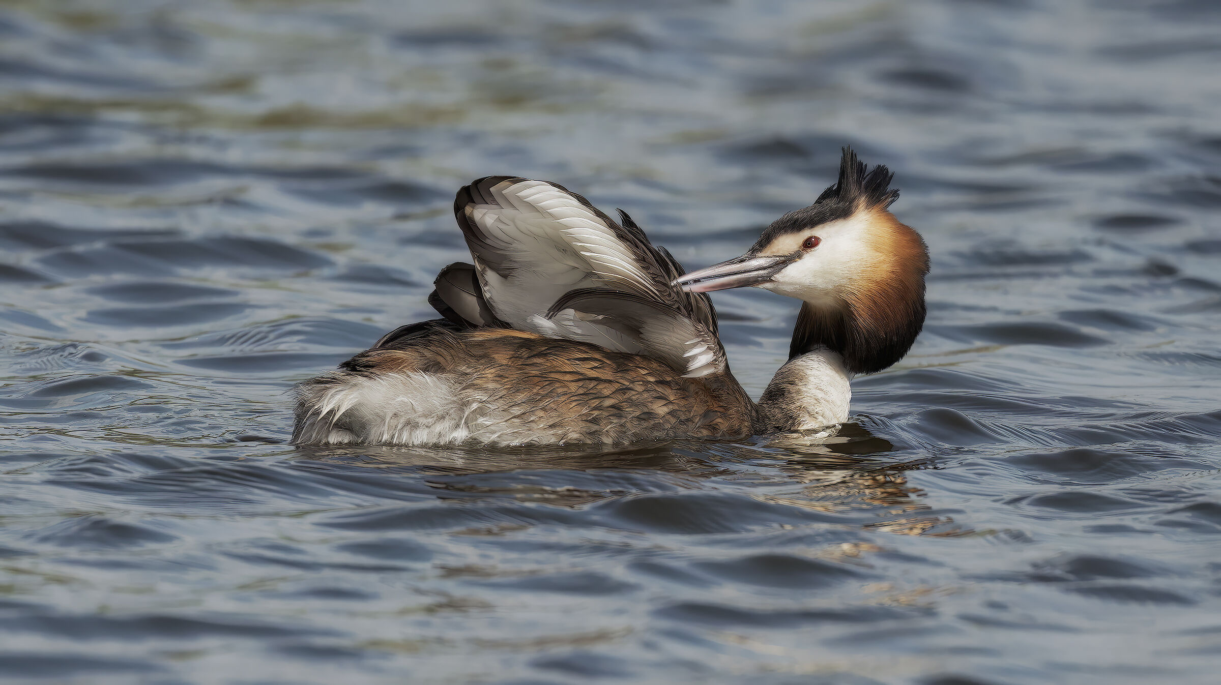 prova Sony Svasso maggiore5